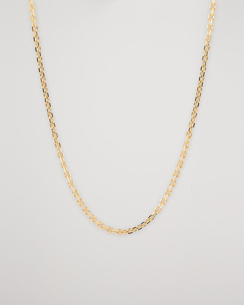 Tom Wood Anker Chain Necklace Gold – Or