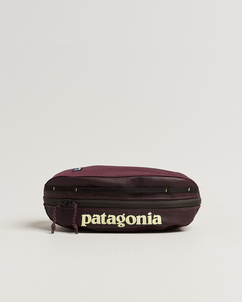 Patagonia Black Hole Cube 3L Berry Fig – Violet