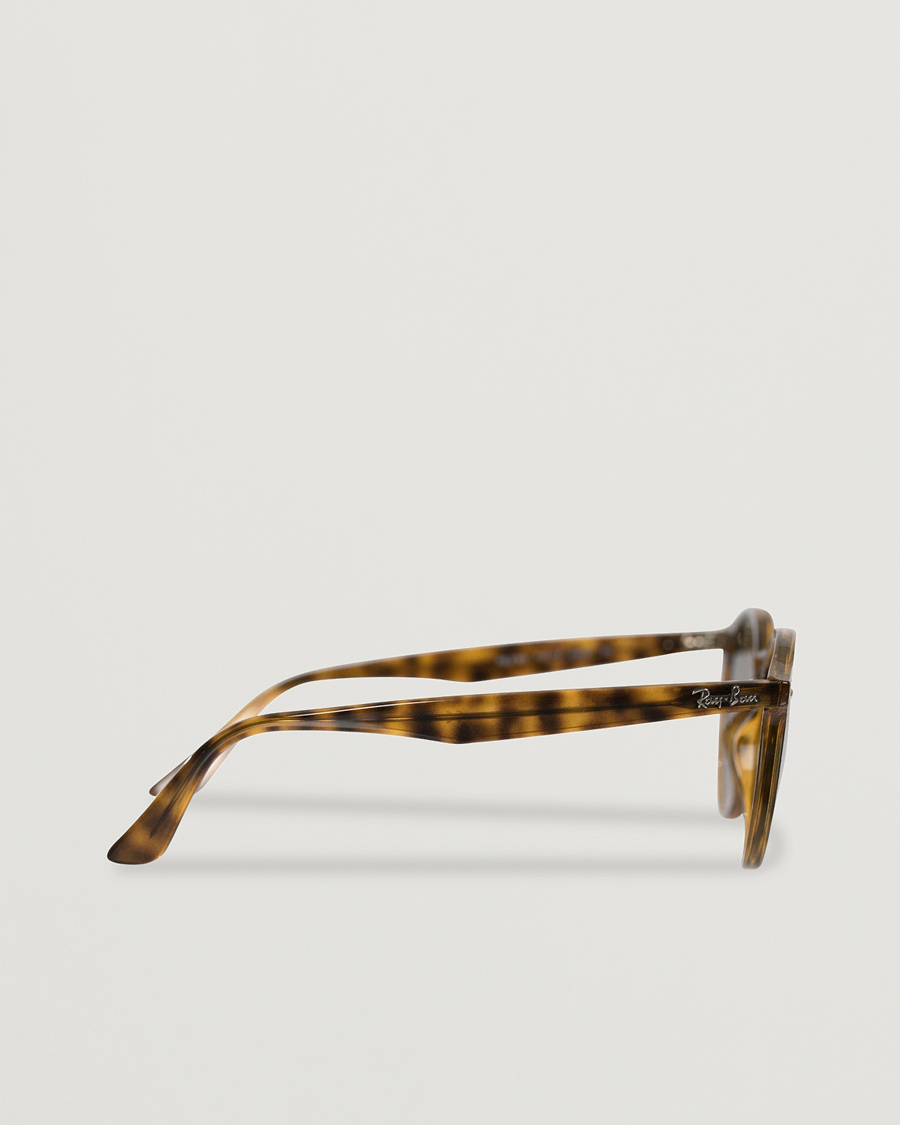 Homme | Lunettes De Soleil | Ray-Ban | RB2180 Acetat Sunglasses Dark Havana/Dark Brown