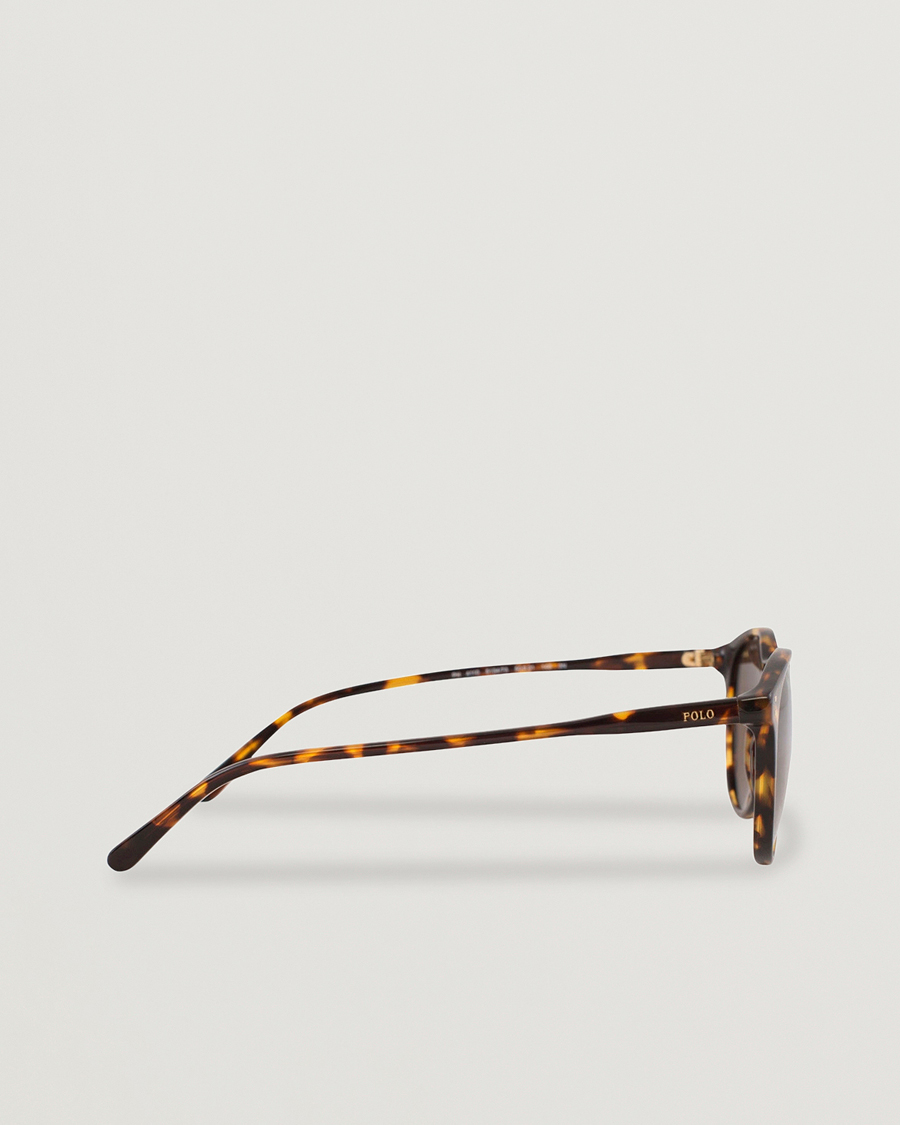 Homme | Lunettes De Soleil | Polo Ralph Lauren | 0PH4110 Round Sunglasses Havana