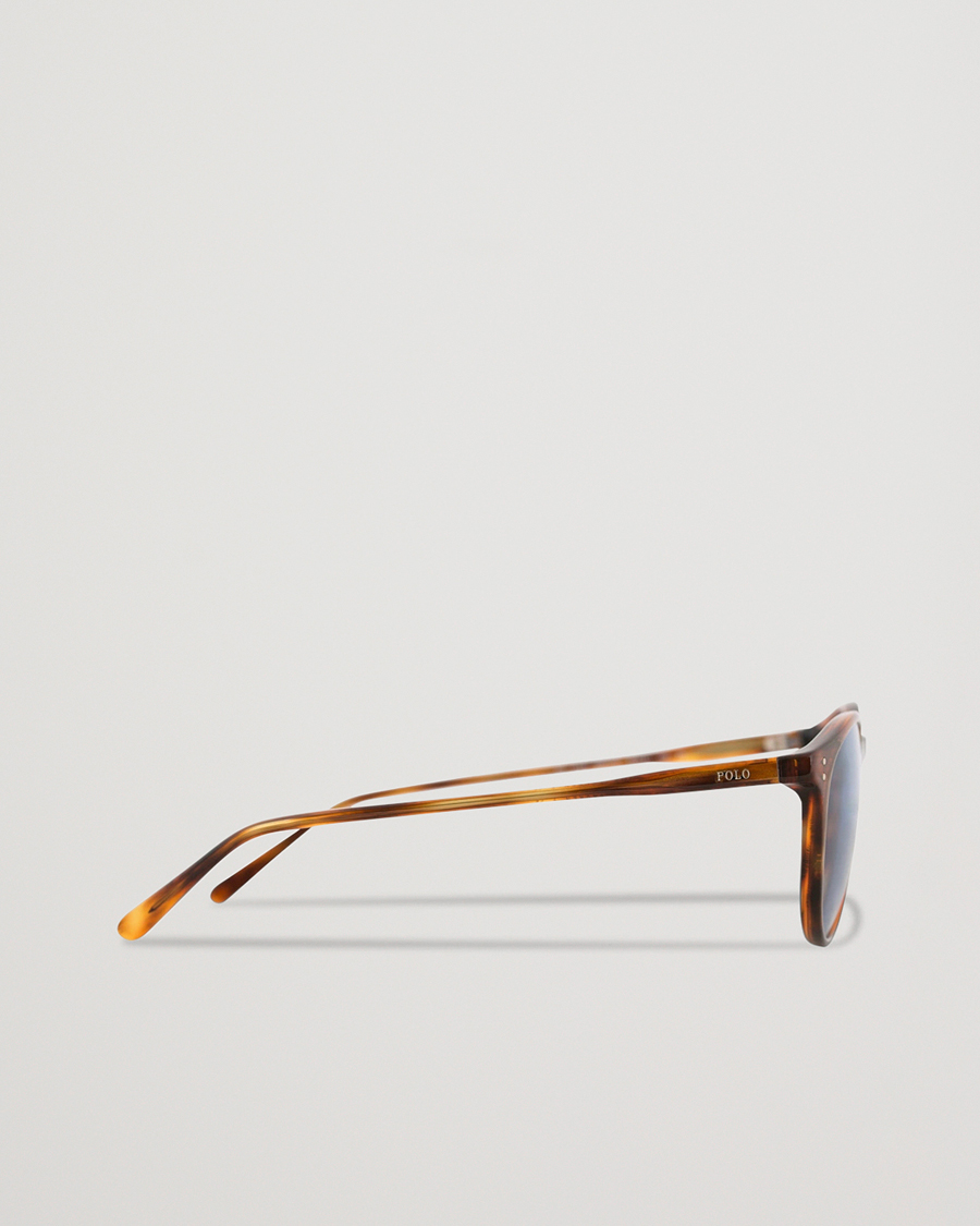 Homme | Polo Ralph Lauren 0PH4110 Sunglasses Stripped Havana | Polo Ralph Lauren | 0PH4110 Sunglasses Stripped Havana