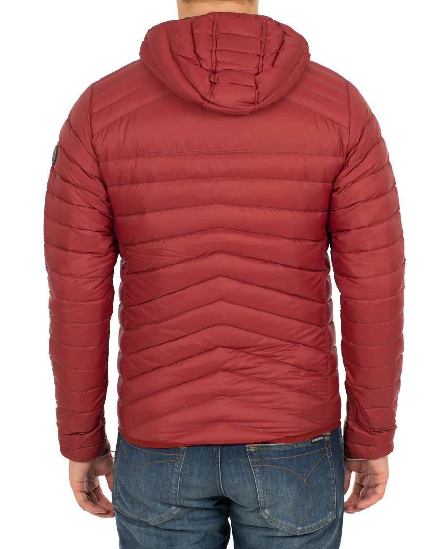 Homme | Manteaux Et Vestes | Sail Racing | Link Down Hooded Jacket Burgundy Red