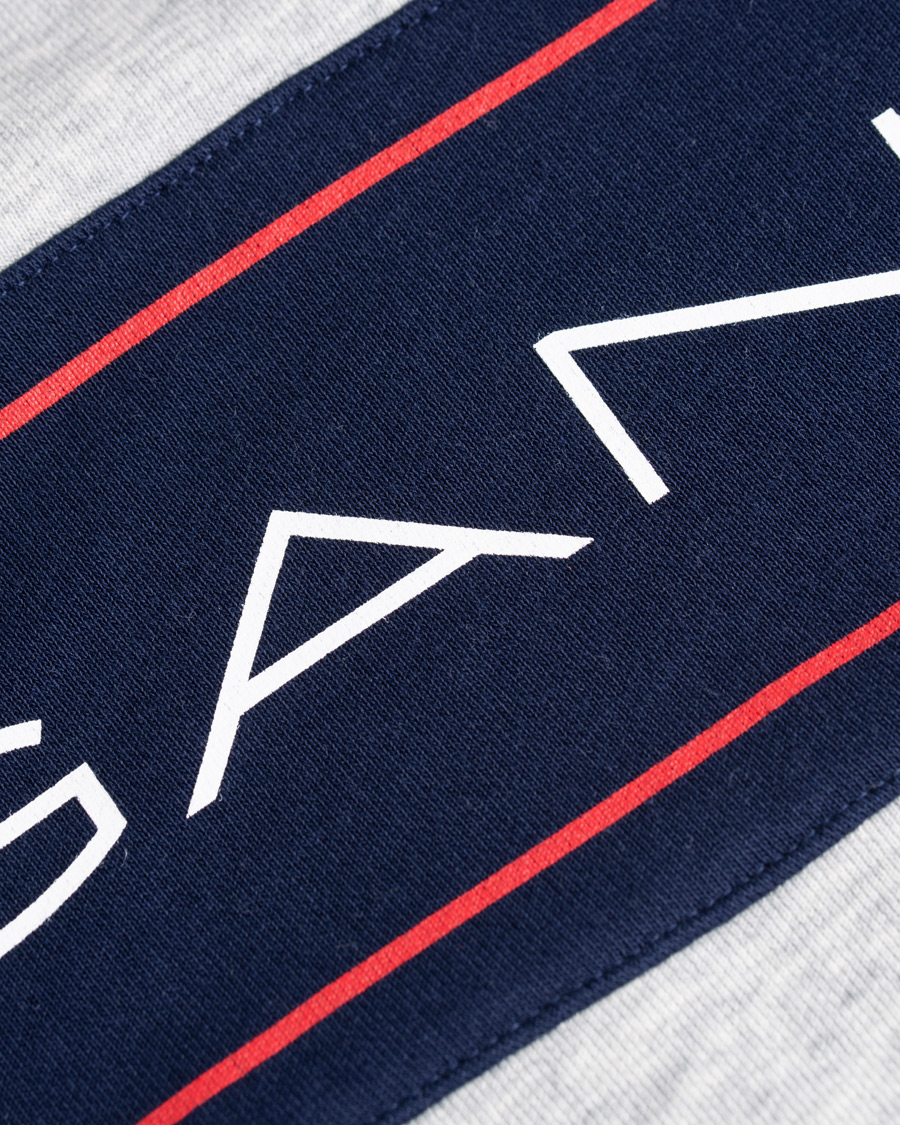 Homme | Pulls Et Tricots | GANT | Archive Hoodie Light Grey Melange