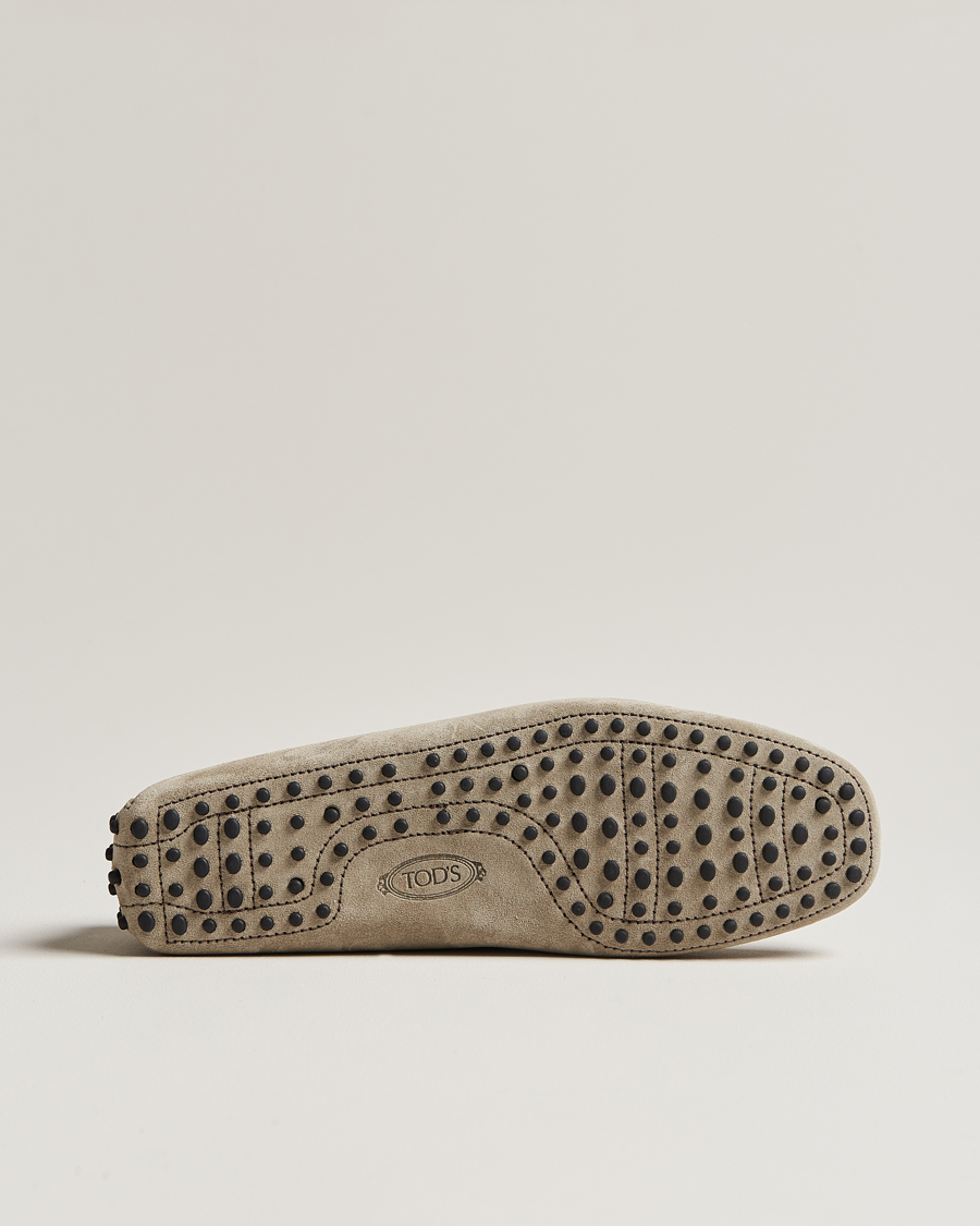 Homme | Tod's Lacetto Gommino Carshoe Taupe Suede | Tod's | Lacetto Gommino Carshoe Taupe Suede