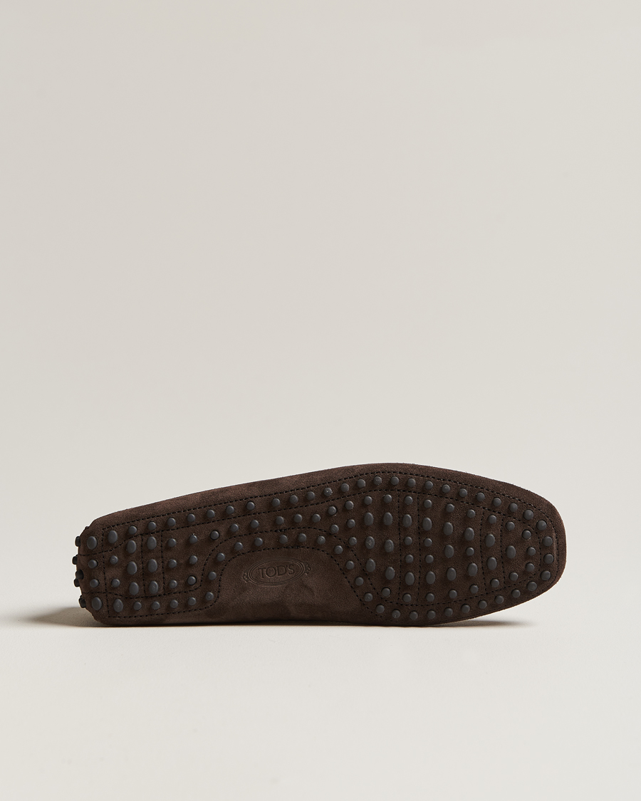 Homme | Tod's Lacetto Gommino Carshoe Dark Brown Suede | Tod's | Lacetto Gommino Carshoe Dark Brown Suede