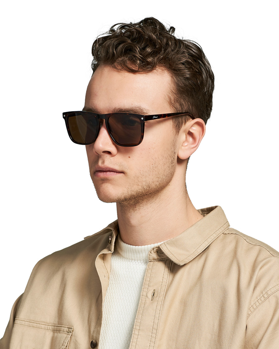 Homme | Brioni BR0086S Sunglasses Havana/Brown | Brioni | BR0086S Sunglasses Havana/Brown