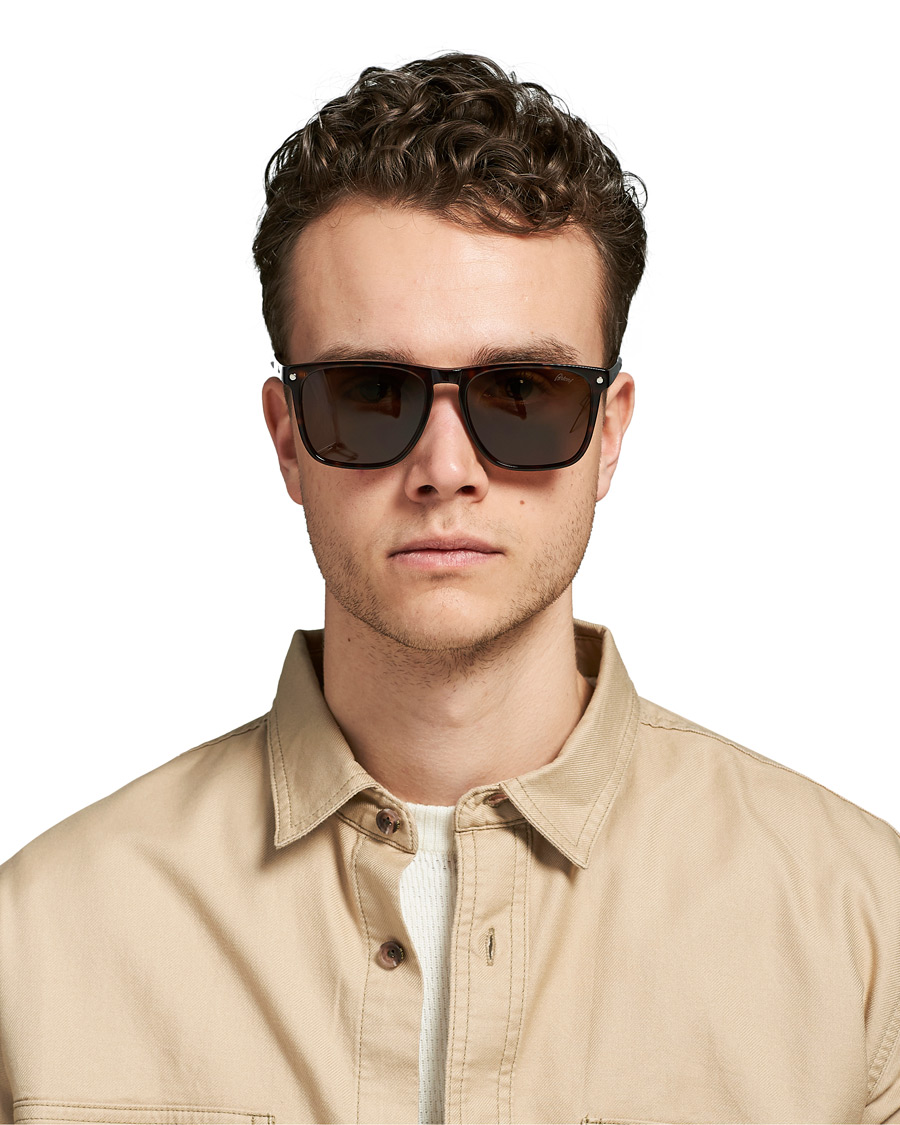 Homme | Brioni BR0086S Sunglasses Havana/Brown | Brioni | BR0086S Sunglasses Havana/Brown