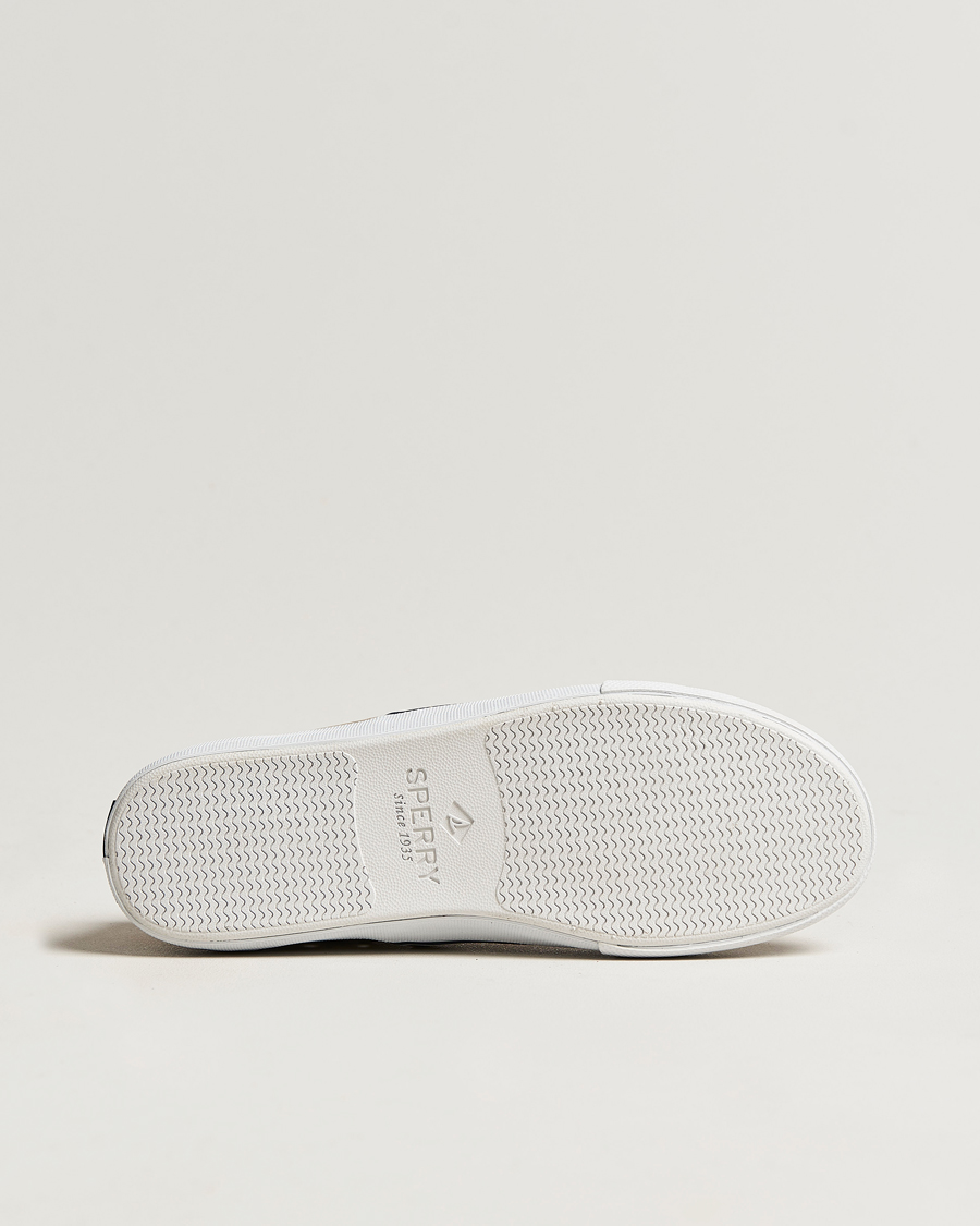 Homme | Sperry Striper II Canvas Sneaker Beige | Sperry | Striper II Canvas Sneaker Beige