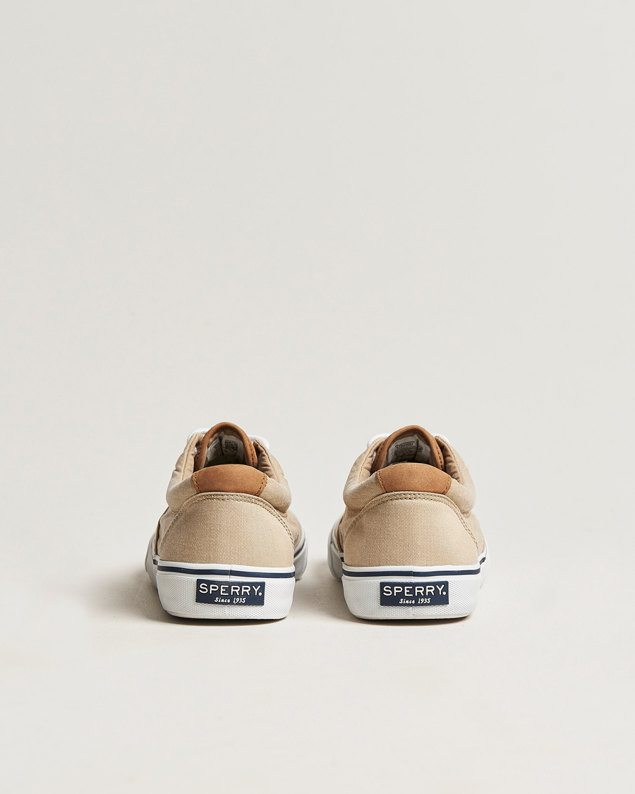 Homme | Sperry Striper II Canvas Sneaker Beige | Sperry | Striper II Canvas Sneaker Beige