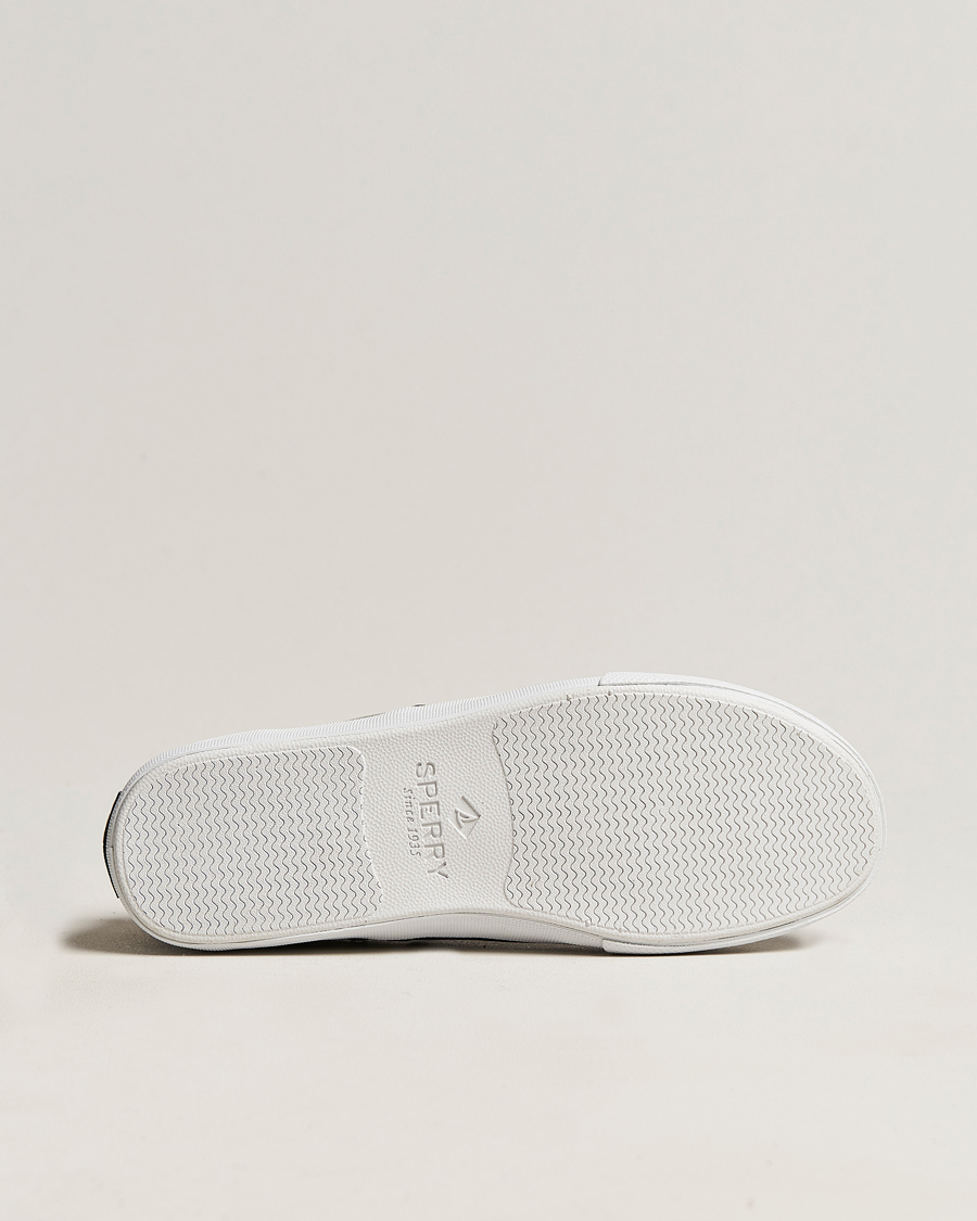 Homme | Sperry Striper II Canvas Sneaker Grey | Sperry | Striper II Canvas Sneaker Grey