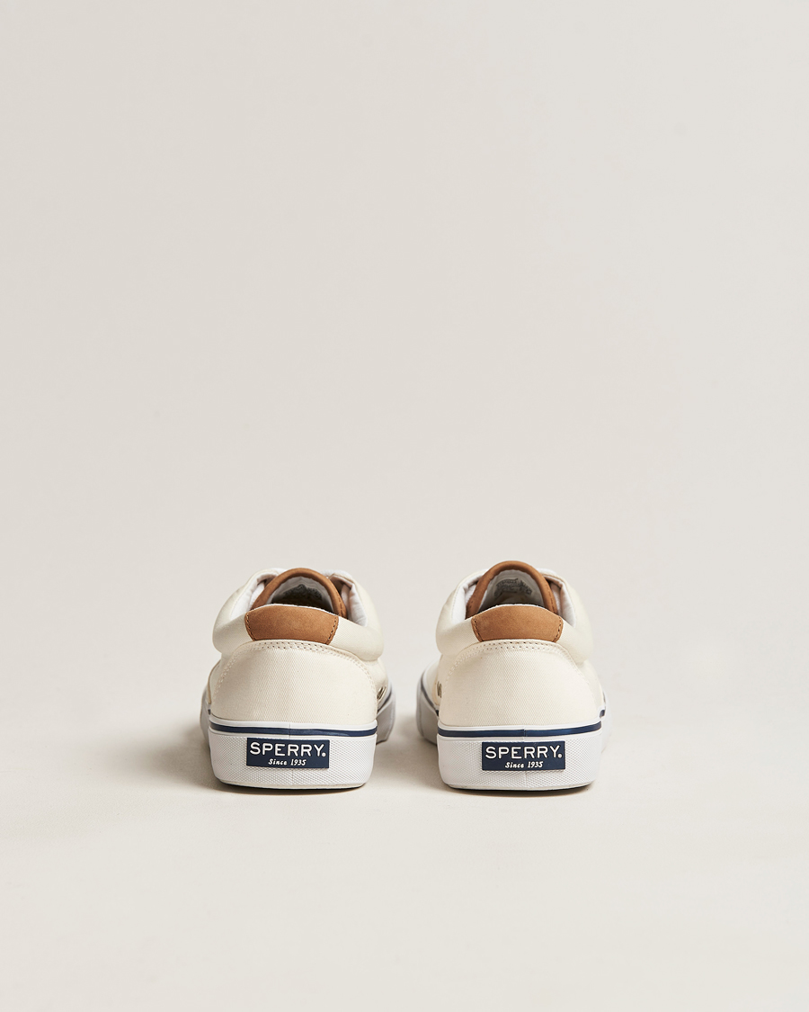 Homme | Sperry Striper II Canvas Sneaker White | Sperry | Striper II Canvas Sneaker White