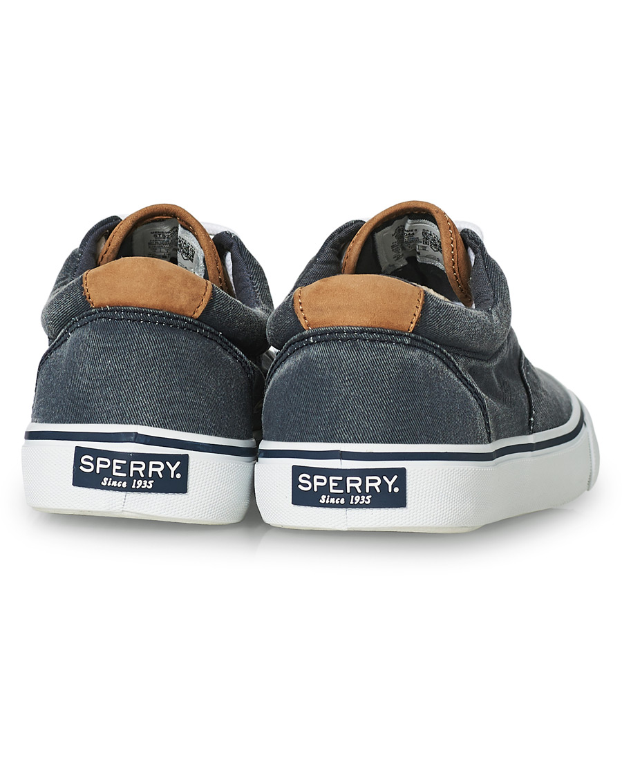 Homme | Sperry Striper II Canvas Sneaker Dark Navy | Sperry | Striper II Canvas Sneaker Dark Navy