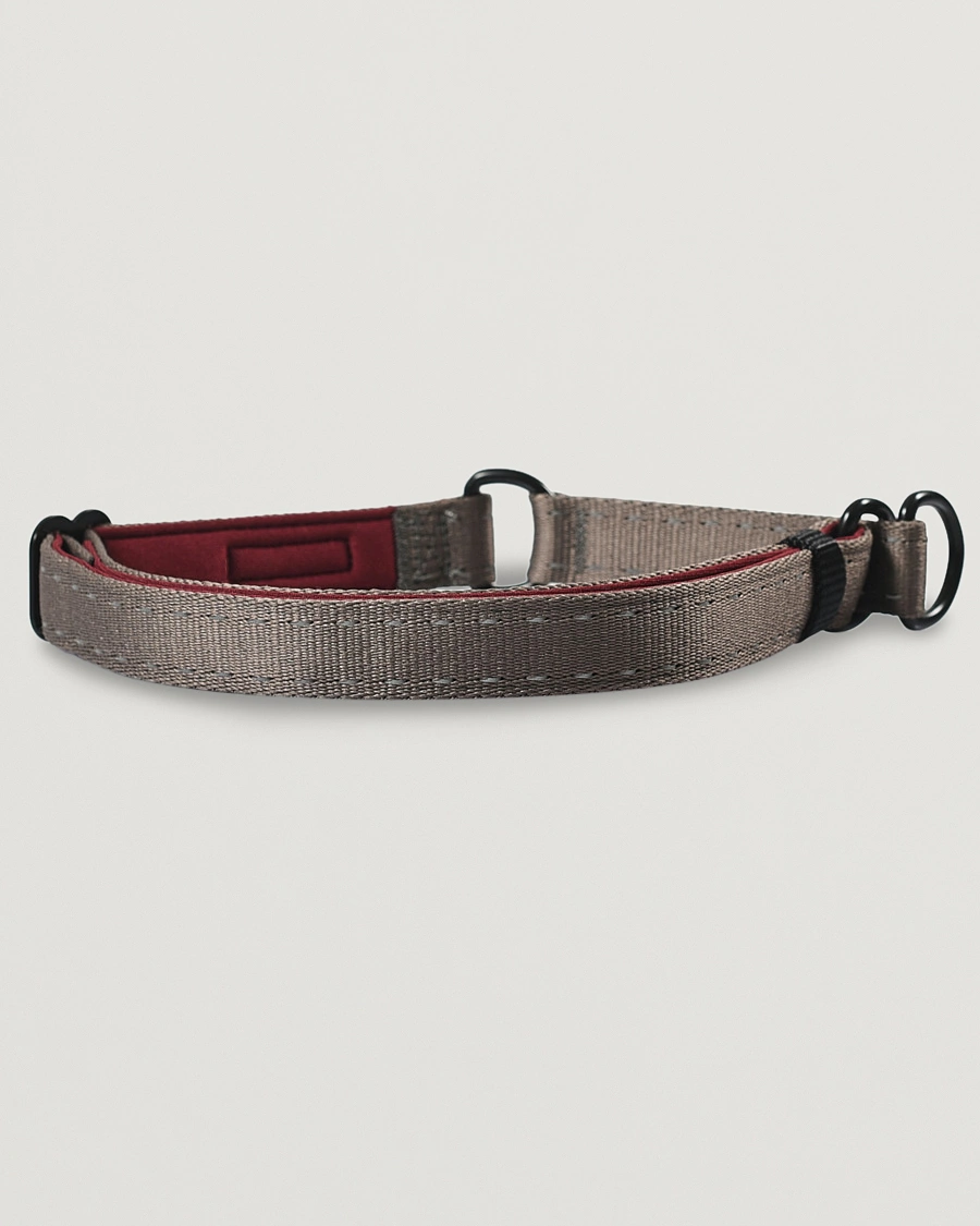 Homme | Accessoires Pour Chiens | Snow Peak | Dog Slip Collar Grey