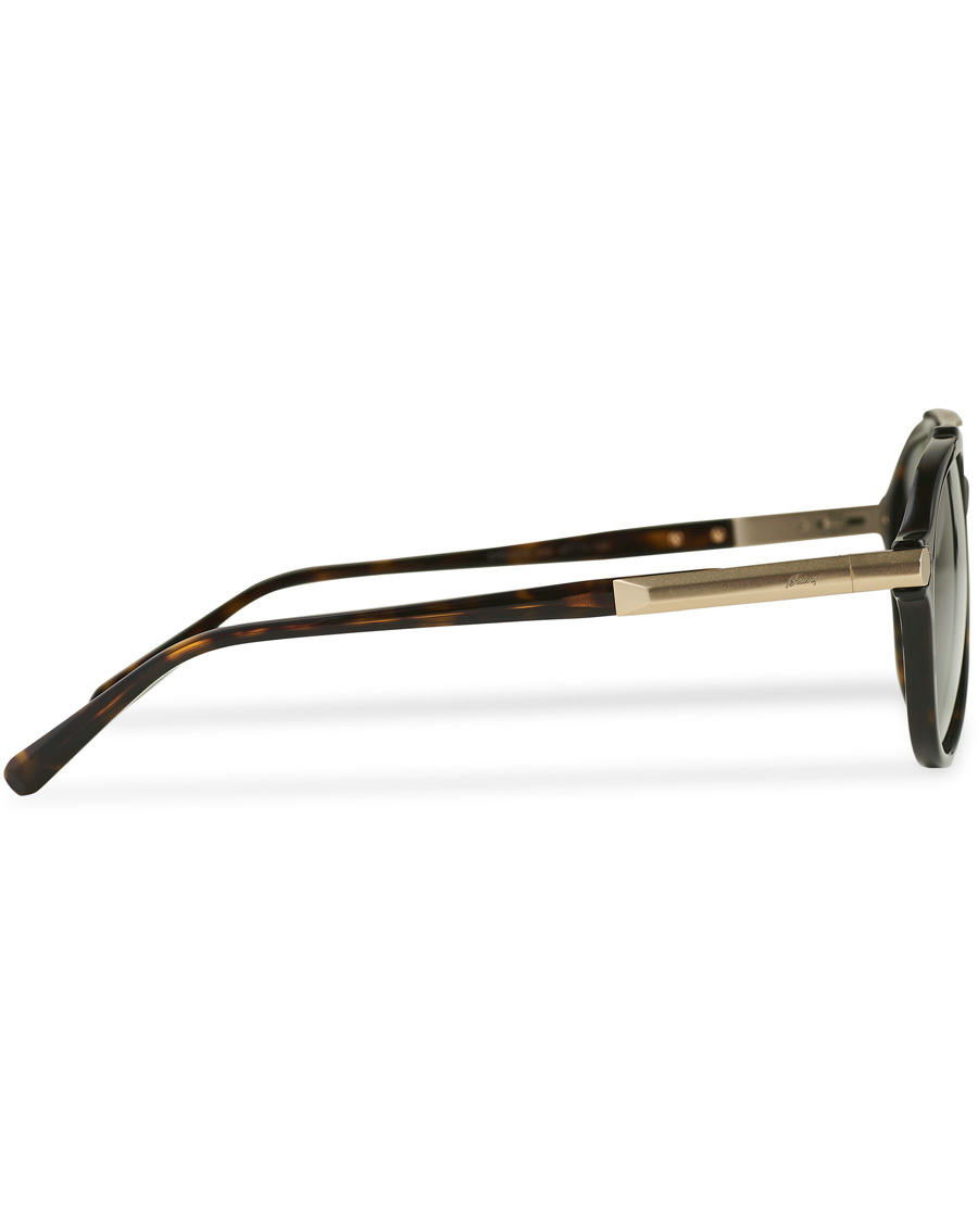 Homme | Brioni BR0096S Sunglasses Havana Green | Brioni | BR0096S Sunglasses Havana Green