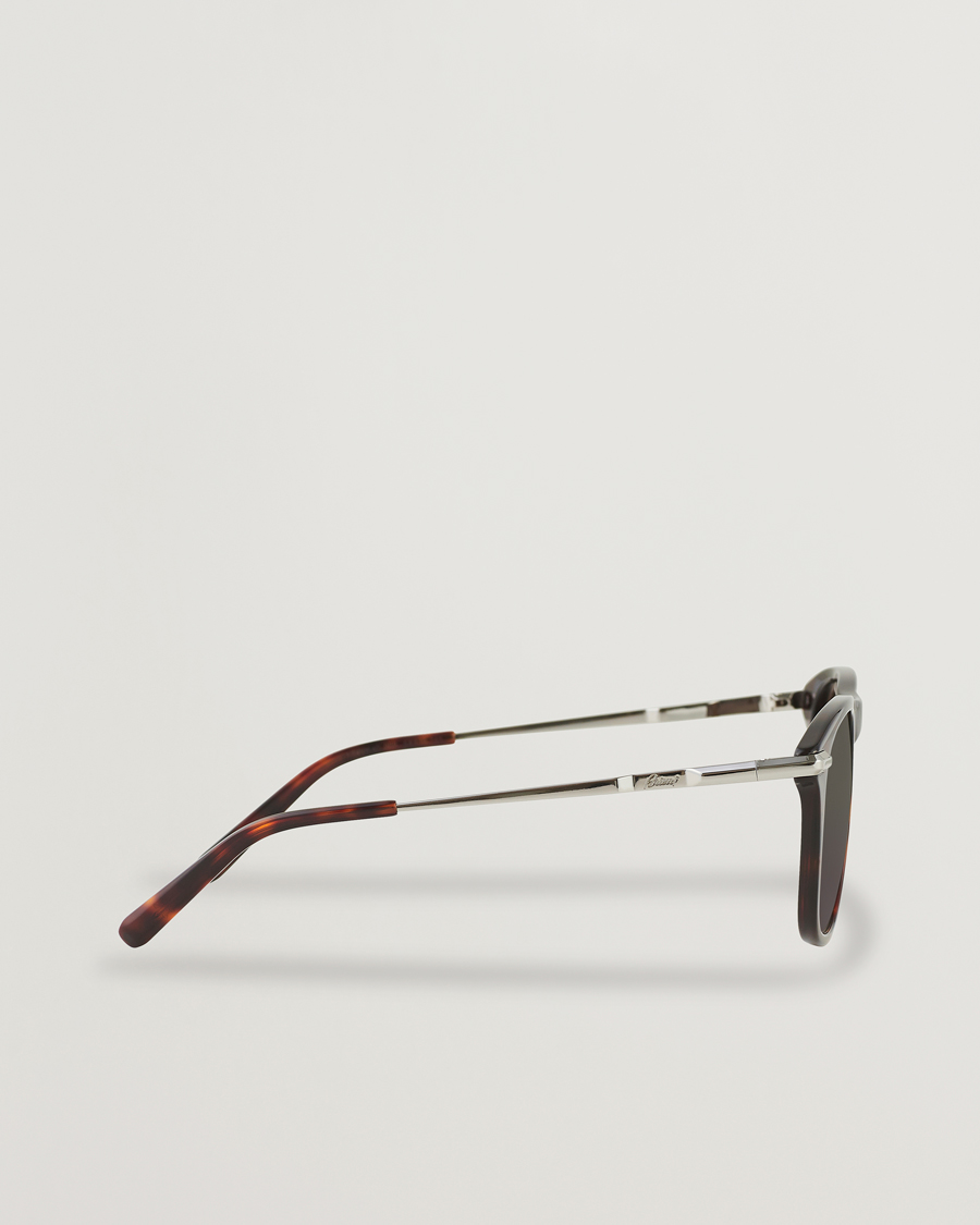 Homme | Brioni BR0094S Sunglasses Havana Brown | Brioni | BR0094S Sunglasses Havana Brown