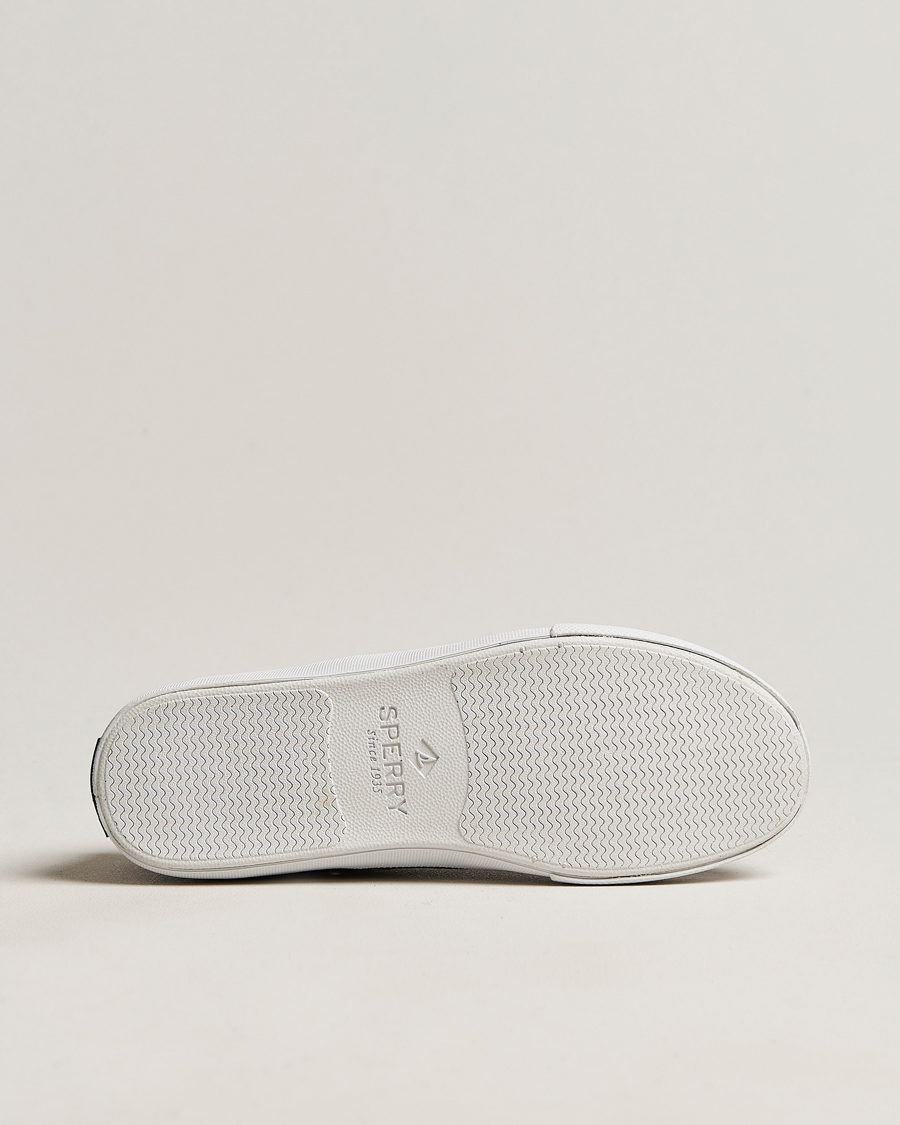 Homme | Sperry Striper II Canvas Sneaker Whased Black | Sperry | Striper II Canvas Sneaker Whased Black