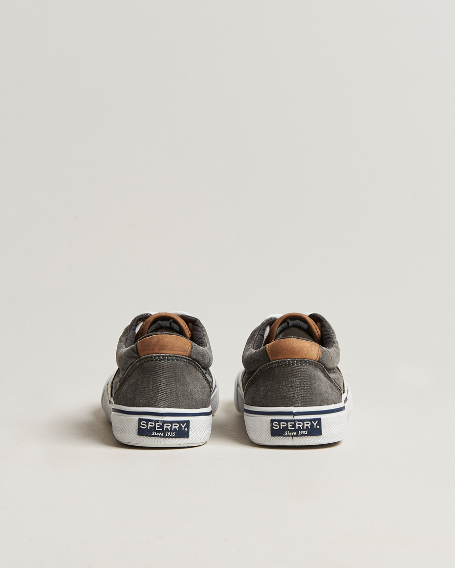 Homme | Sperry Striper II Canvas Sneaker Whased Black | Sperry | Striper II Canvas Sneaker Whased Black