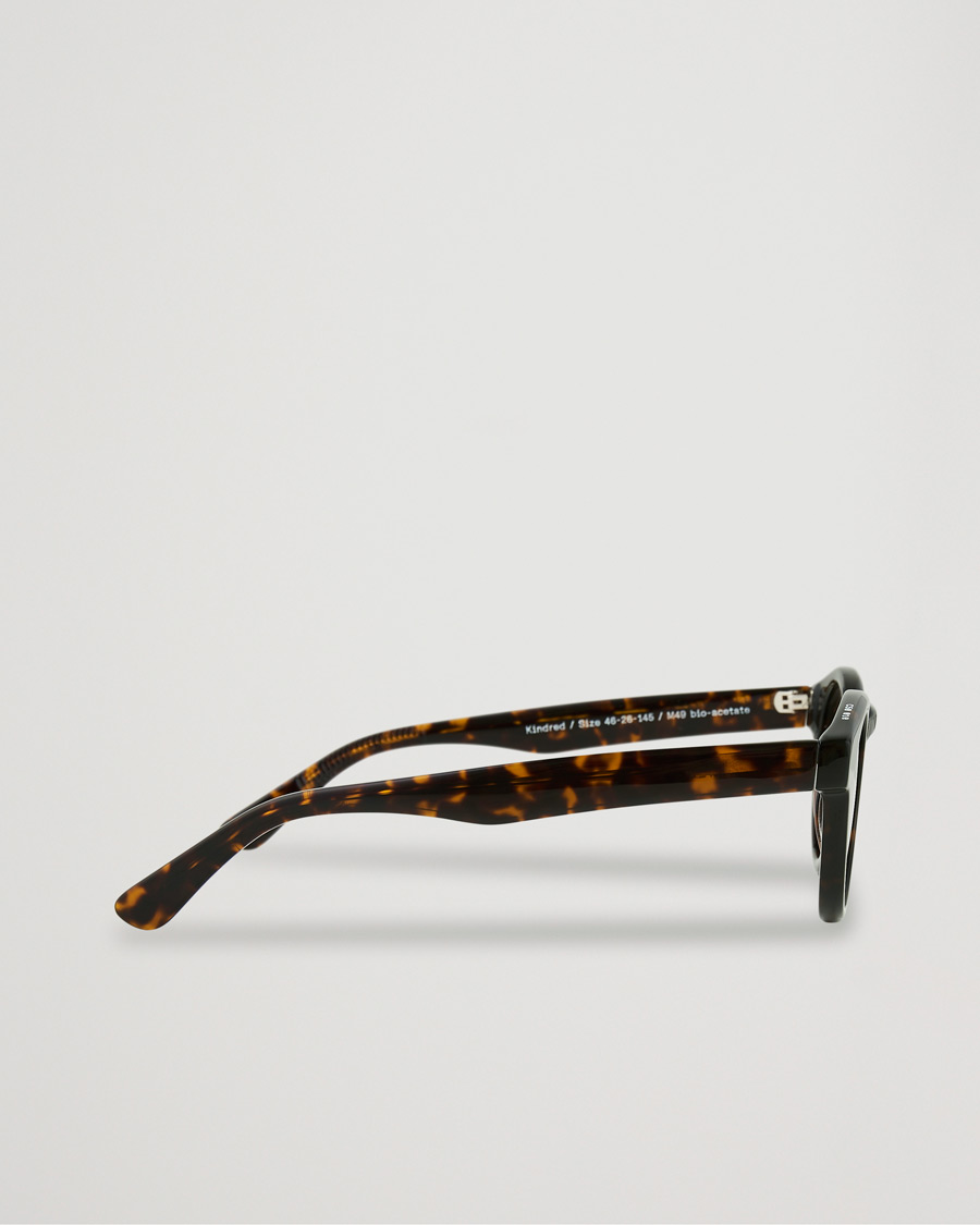Homme | James Ay Kindred Sunglasses Classical Havana | James Ay | Kindred Sunglasses Classical Havana