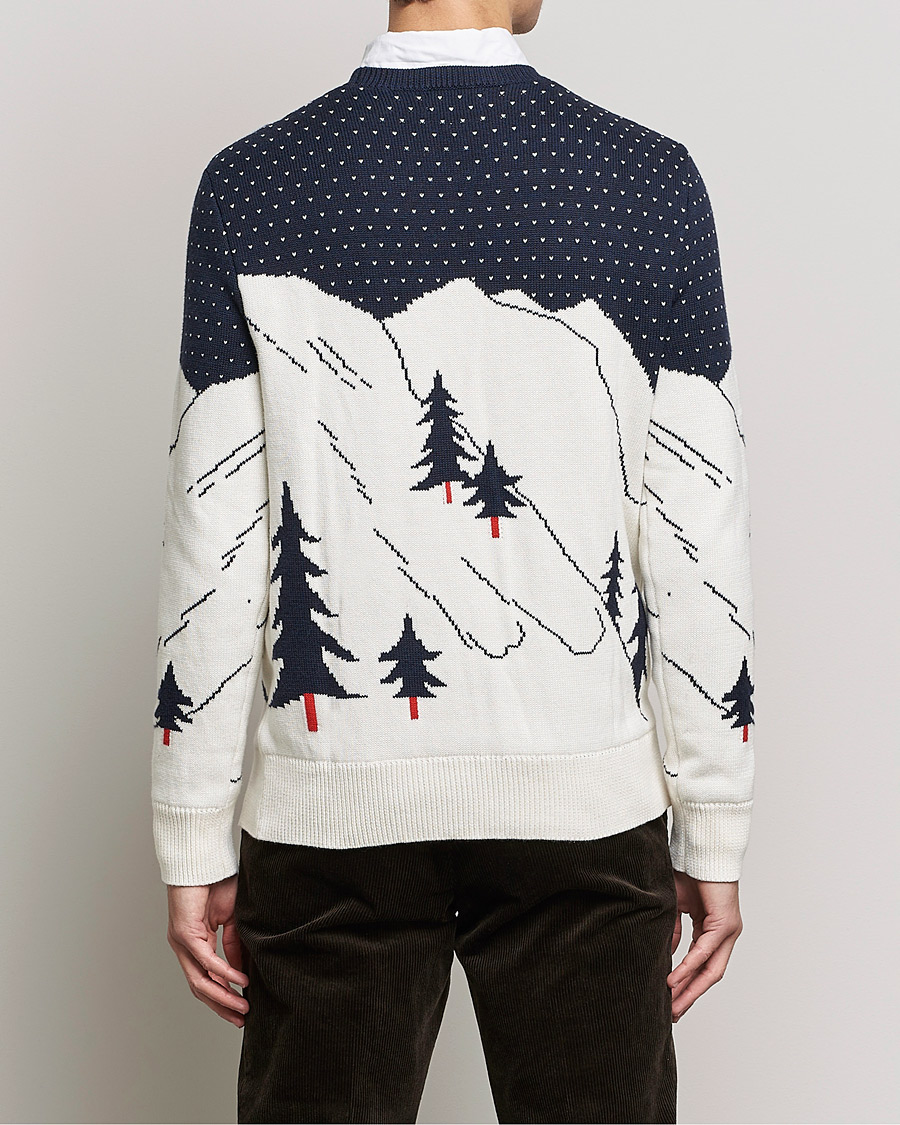 Homme | Pulls Et Tricots | Polo Ralph Lauren | Cotton Ski Knitted Sweater Navy Multi
