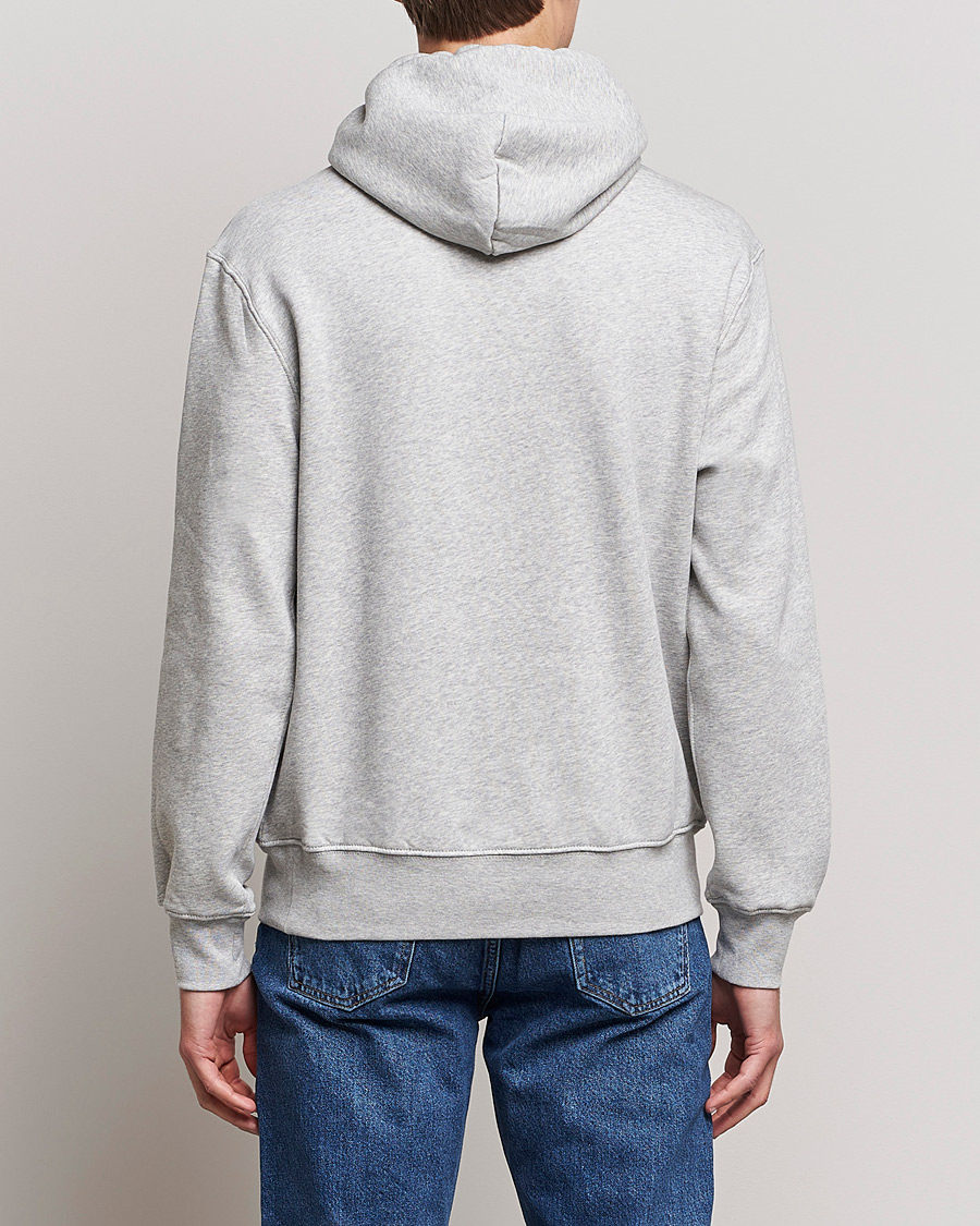 Homme | Pulls Et Tricots | Polo Ralph Lauren | Magic Fleece Printed Bear Hoodie Andover Heather