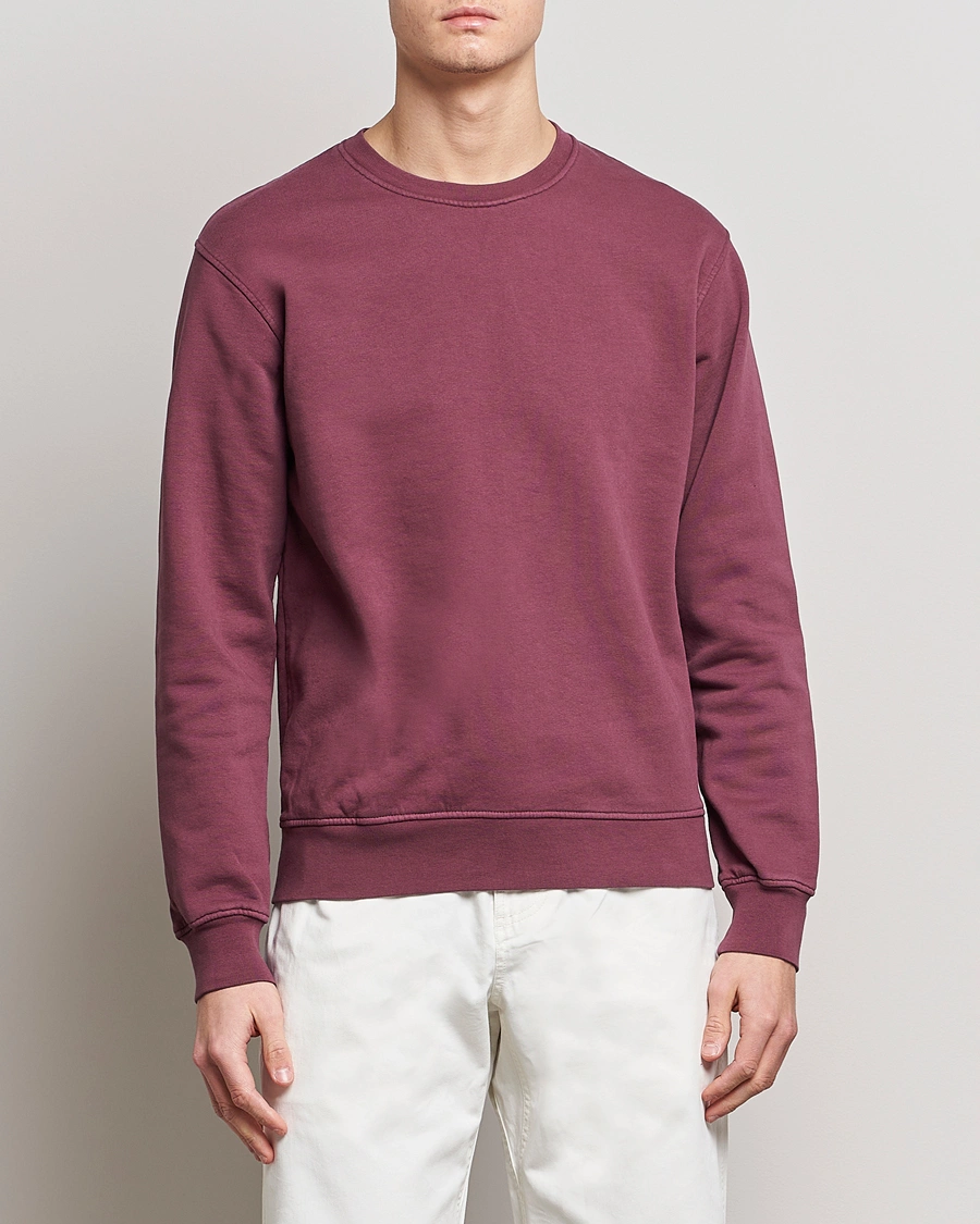 Homme | Sections | Colorful Standard | Classic Organic Crew Neck Sweat Dusty Plum