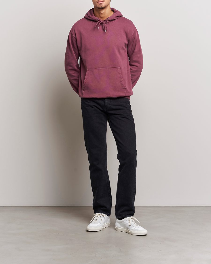 Homme | Pulls Et Tricots | Colorful Standard | Classic Organic Hood Dusty Plum