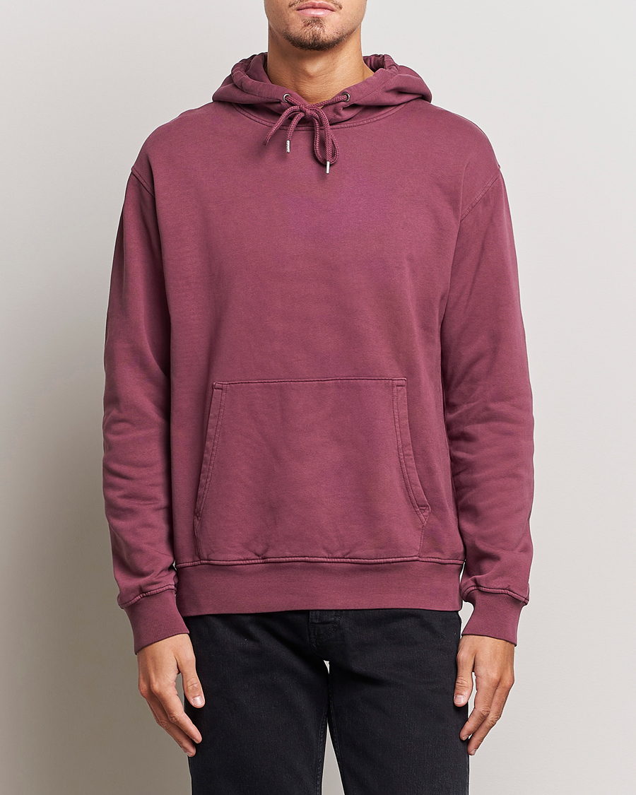 Homme | Pulls Et Tricots | Colorful Standard | Classic Organic Hood Dusty Plum