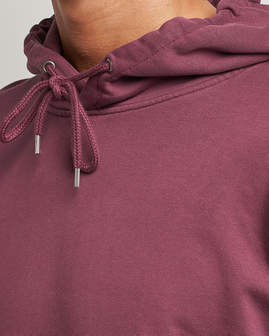 Homme | Pulls Et Tricots | Colorful Standard | Classic Organic Hood Dusty Plum