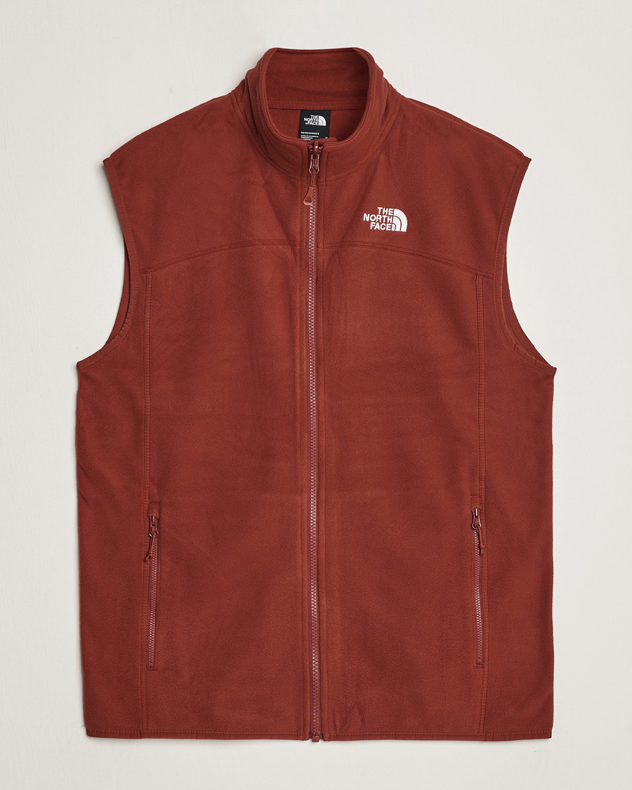 Homme | Pulls Et Tricots | The North Face | 100 Glacier Vest Brandy Brown