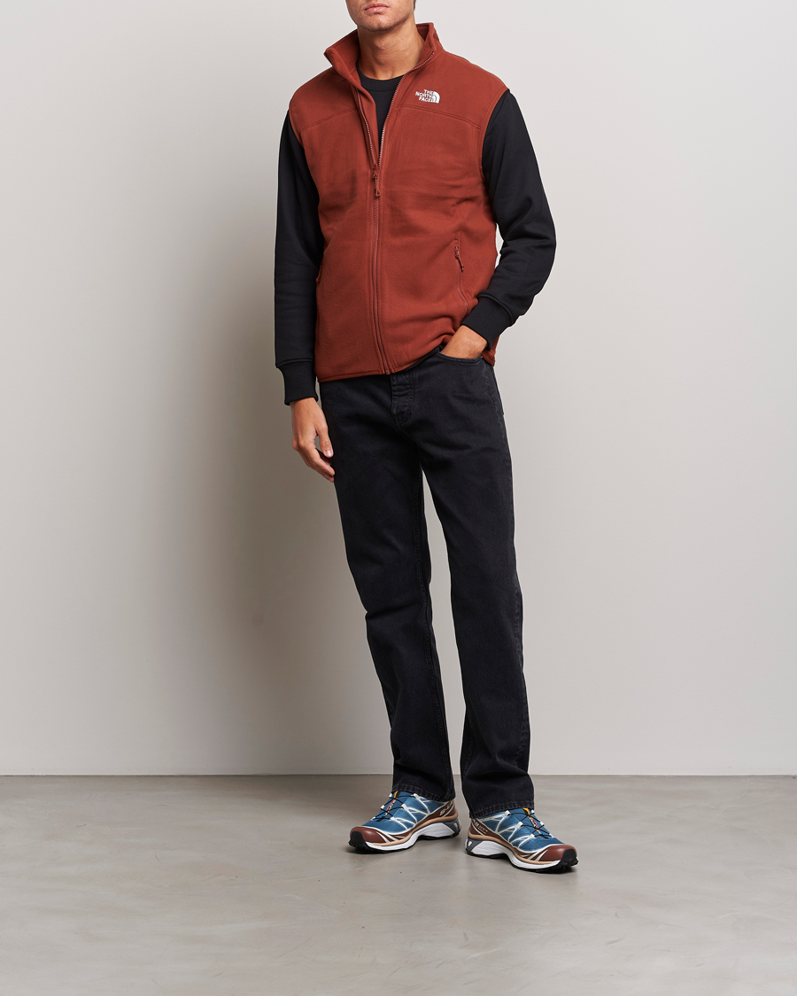 Homme | Pulls Et Tricots | The North Face | 100 Glacier Vest Brandy Brown