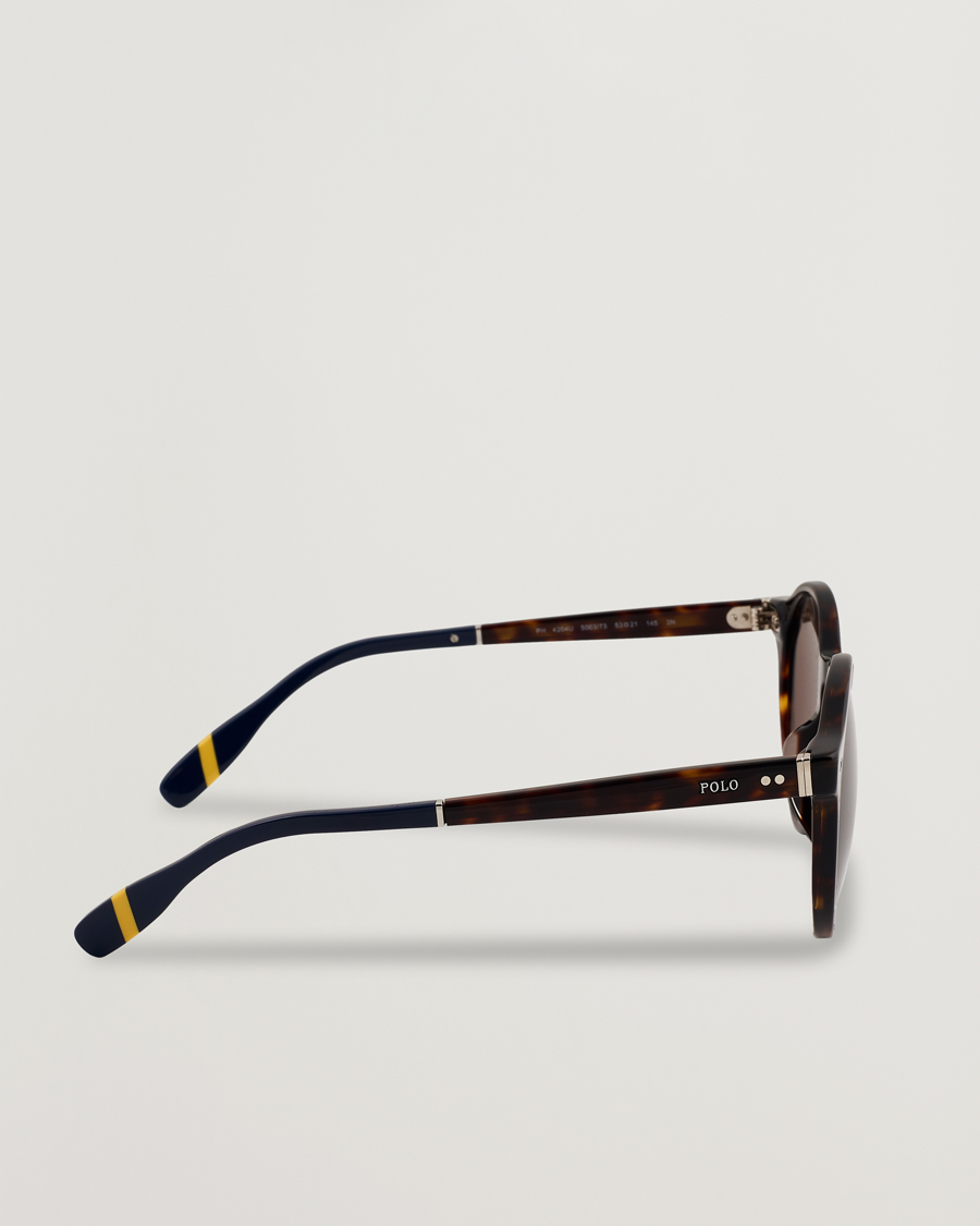 Homme | Lunettes De Soleil | Polo Ralph Lauren | 0PH4204U Sunglasses Dark Havana