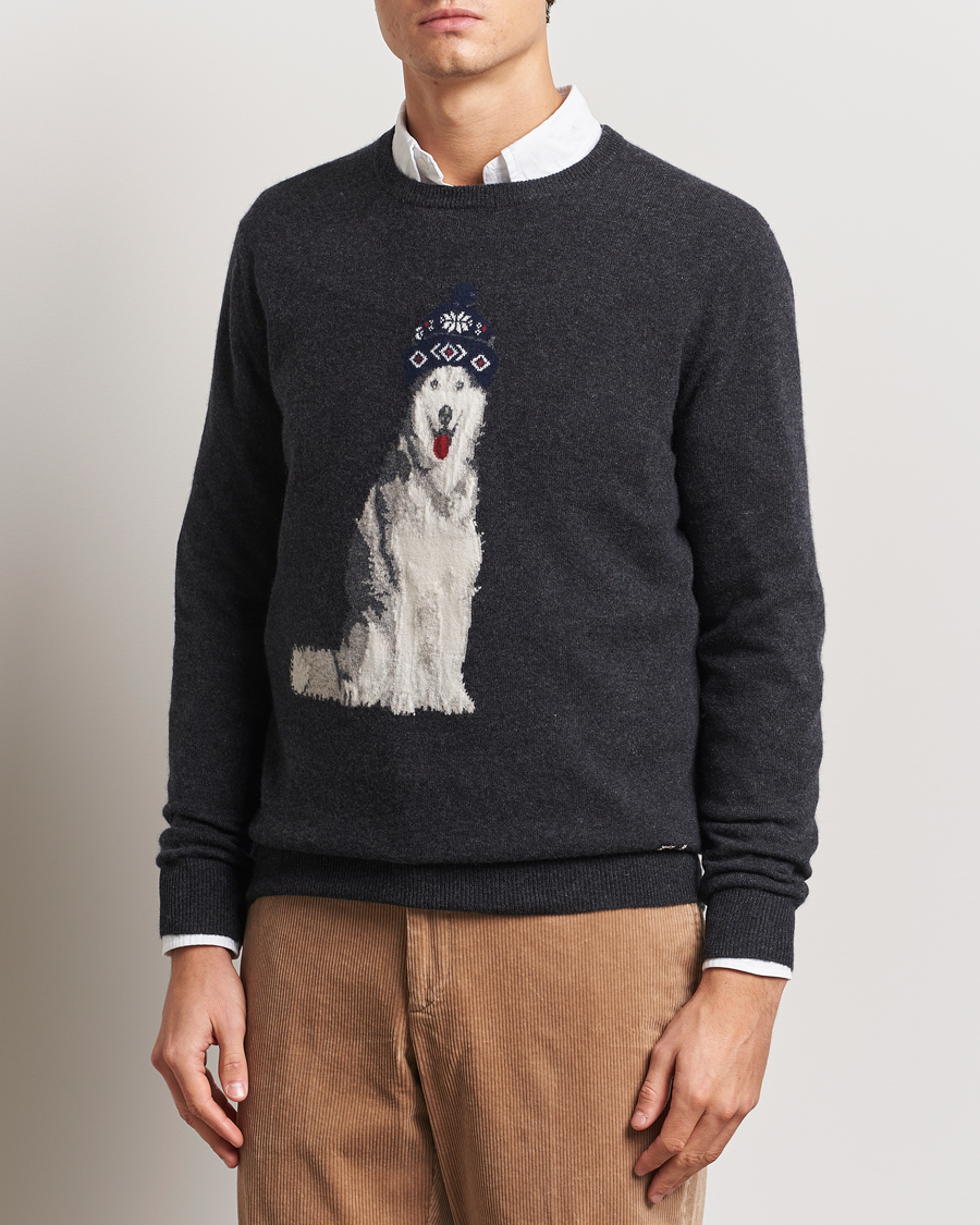 Homme | Pulls Et Tricots | Polo Ralph Lauren | Holiday Dog Cashmere Sweater Dark Granite Heather