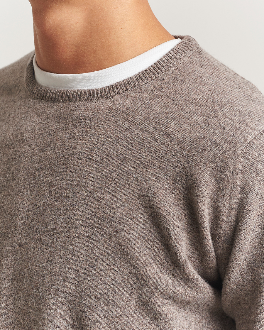 Homme | Pulls Et Tricots | William Lockie | Rob Lambswool Crewneck Vole
