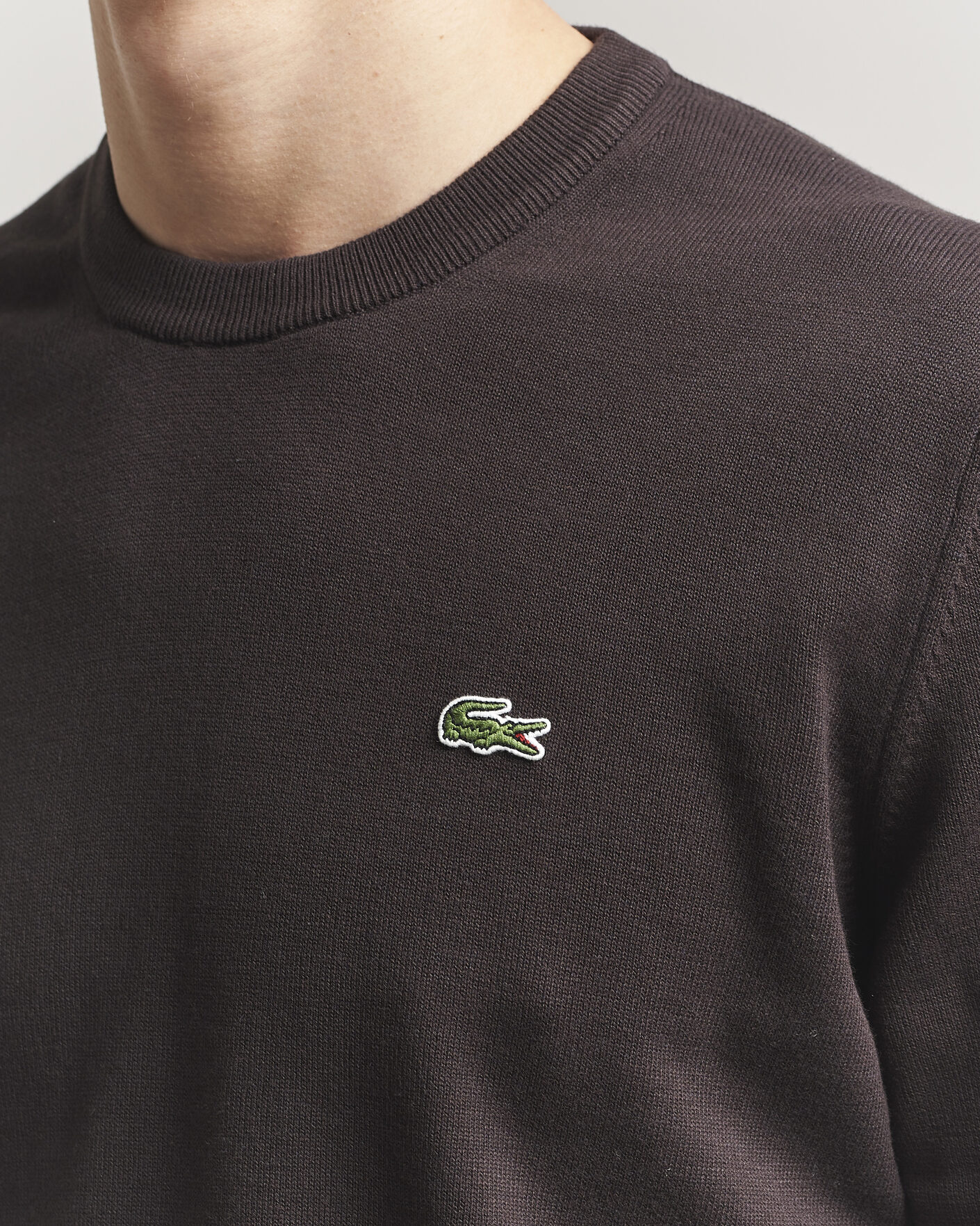 Homme | Pulls Et Tricots | Lacoste | Cotton Knitted Sweater Buffalo Brown