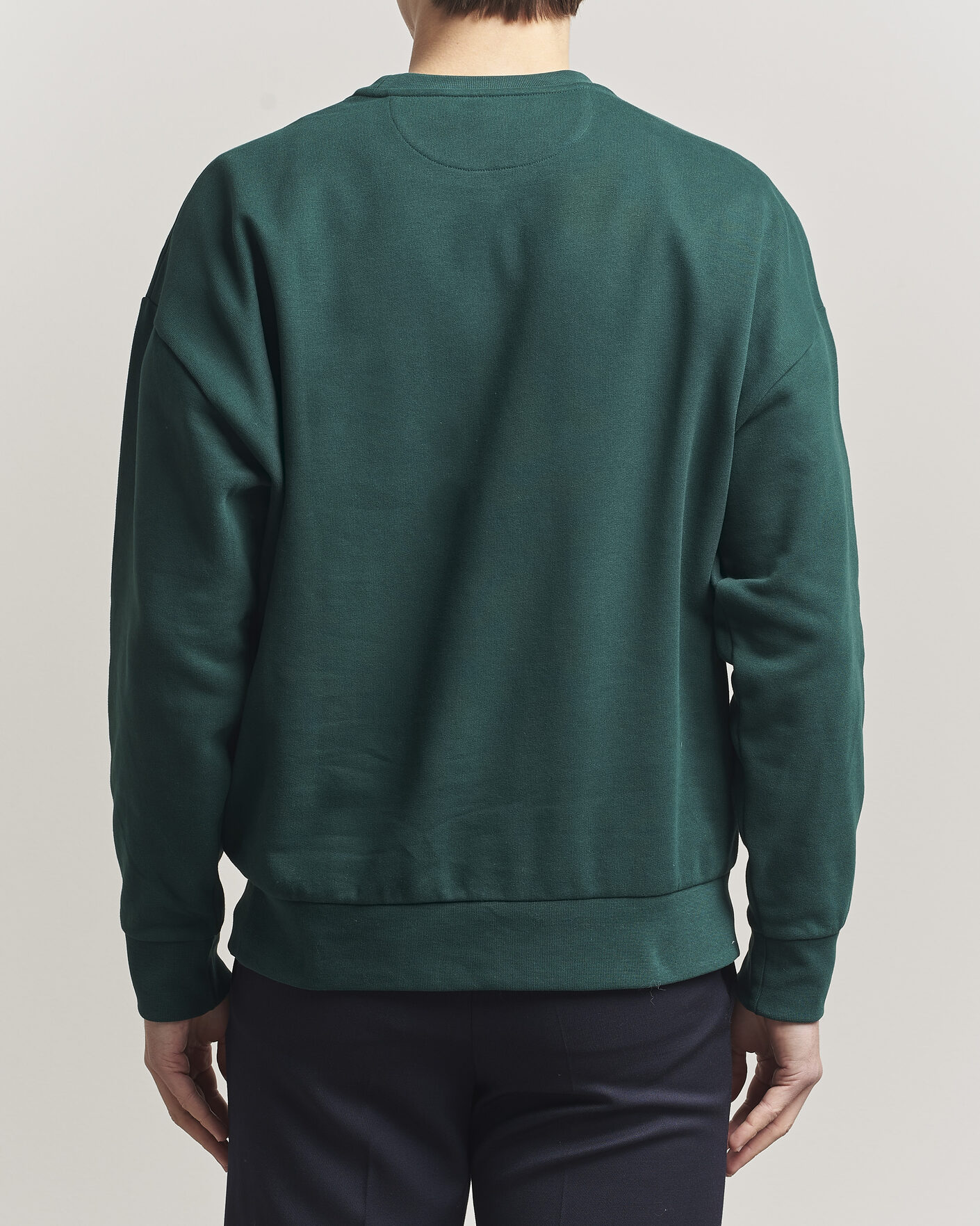 Homme | Pulls Et Tricots | RLX Ralph Lauren | Loopback Terry Bear Sweatshirt Moss Agate