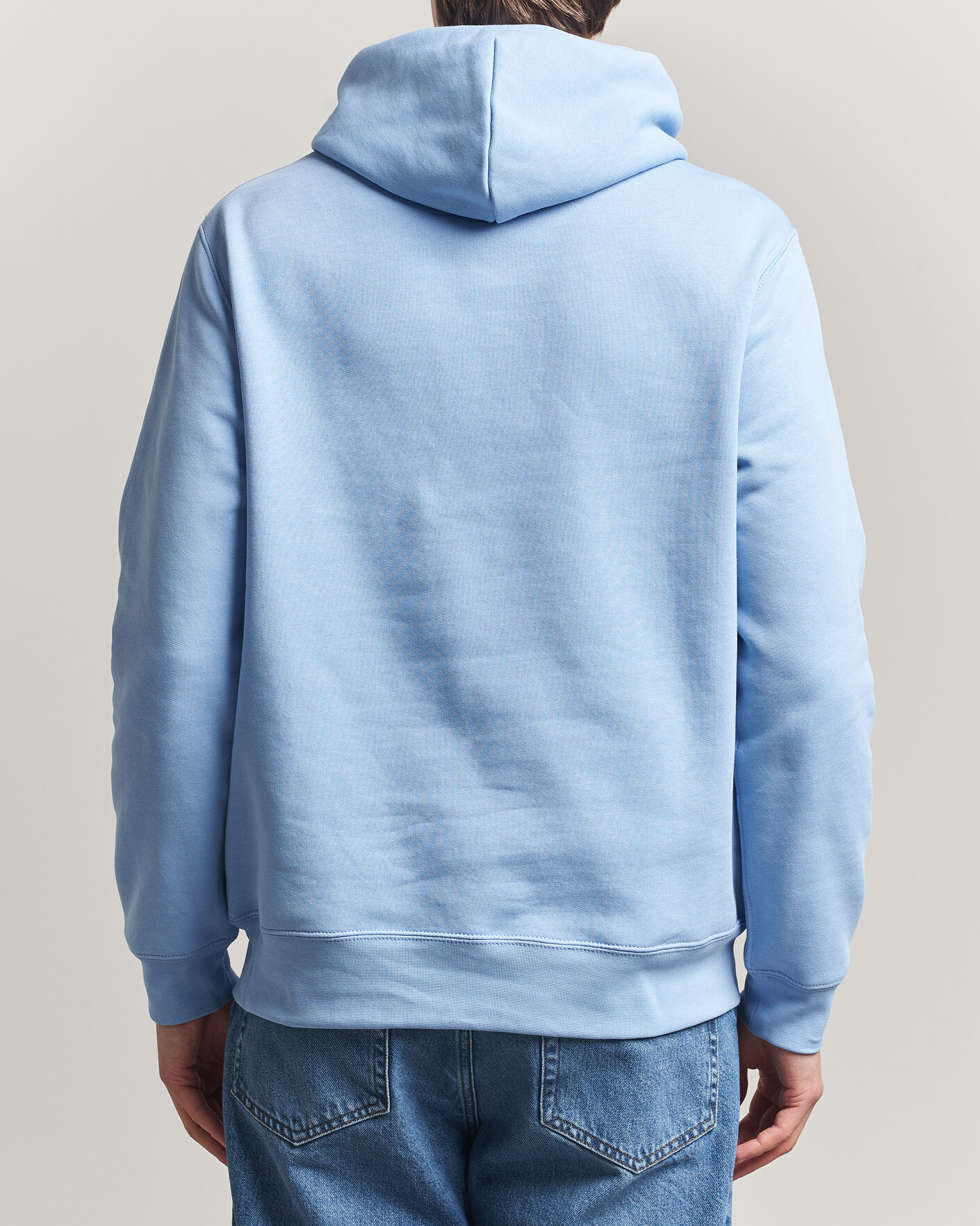 Homme | Pulls Et Tricots | Polo Ralph Lauren | Fleece Bear Hoodie Austin Blue
