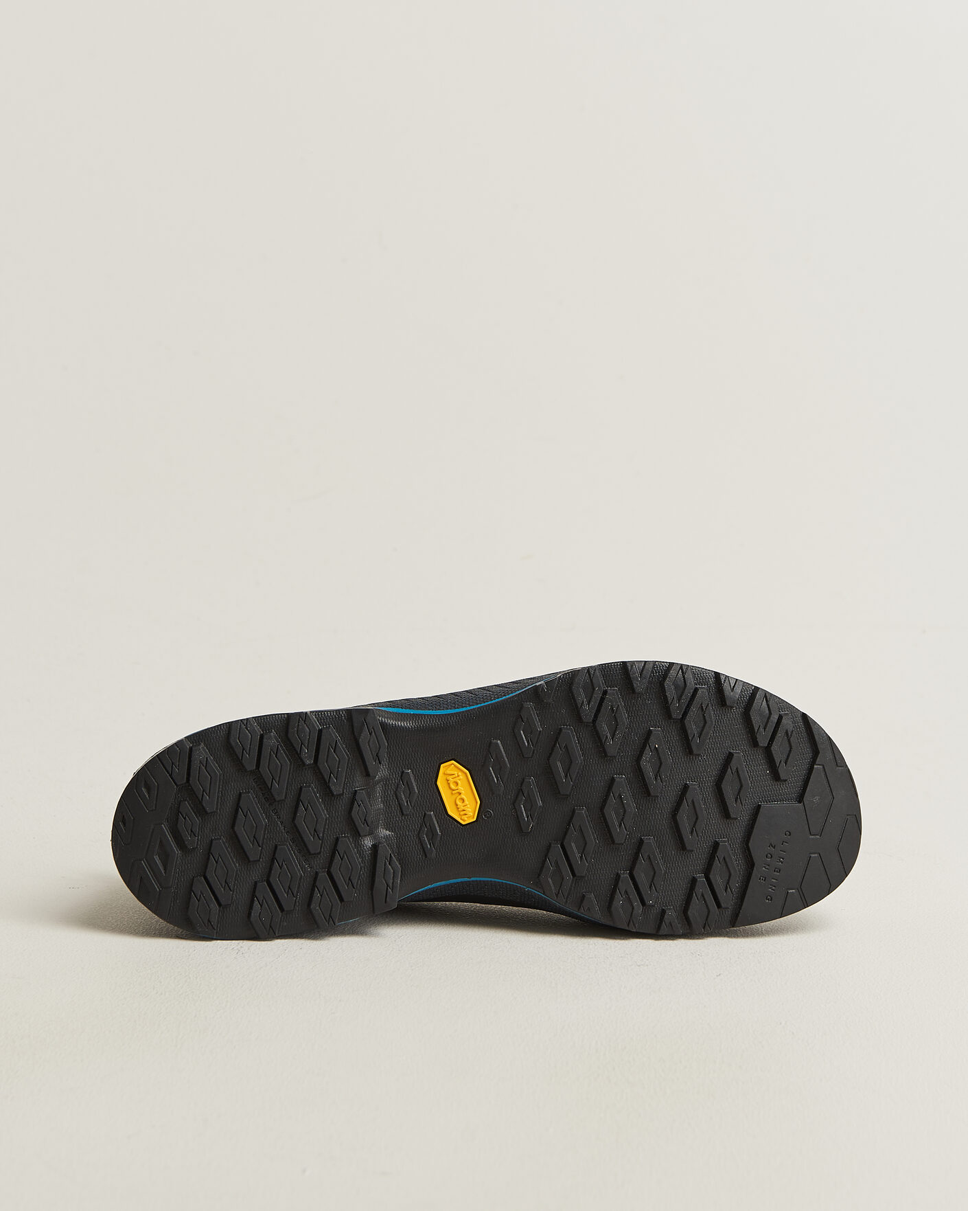 Homme | Chaussures De Randonnée | La Sportiva | TX4 EVO Cypress/Night Sky