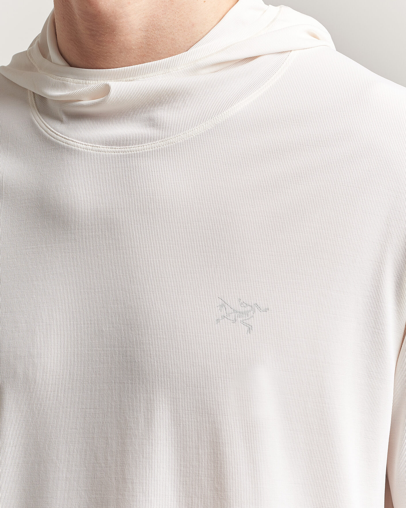 Homme | Pulls Et Tricots | Arc'teryx | Cormac Hoodie Arctic Silk