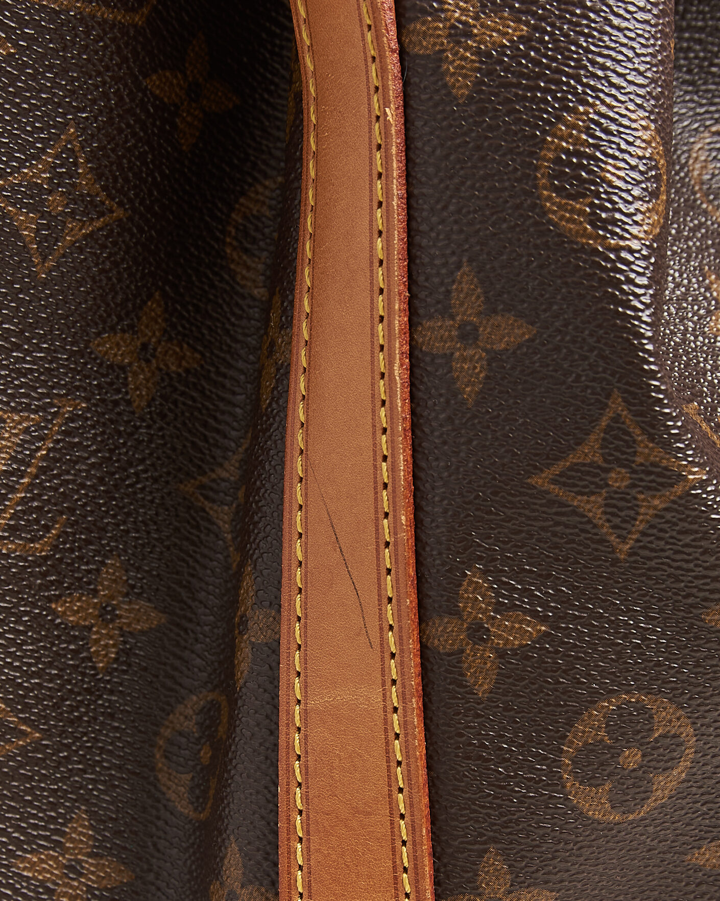 Homme | Pre-Owned & Vintage Bags | Louis Vuitton Pre-Owned | Noé Monogram