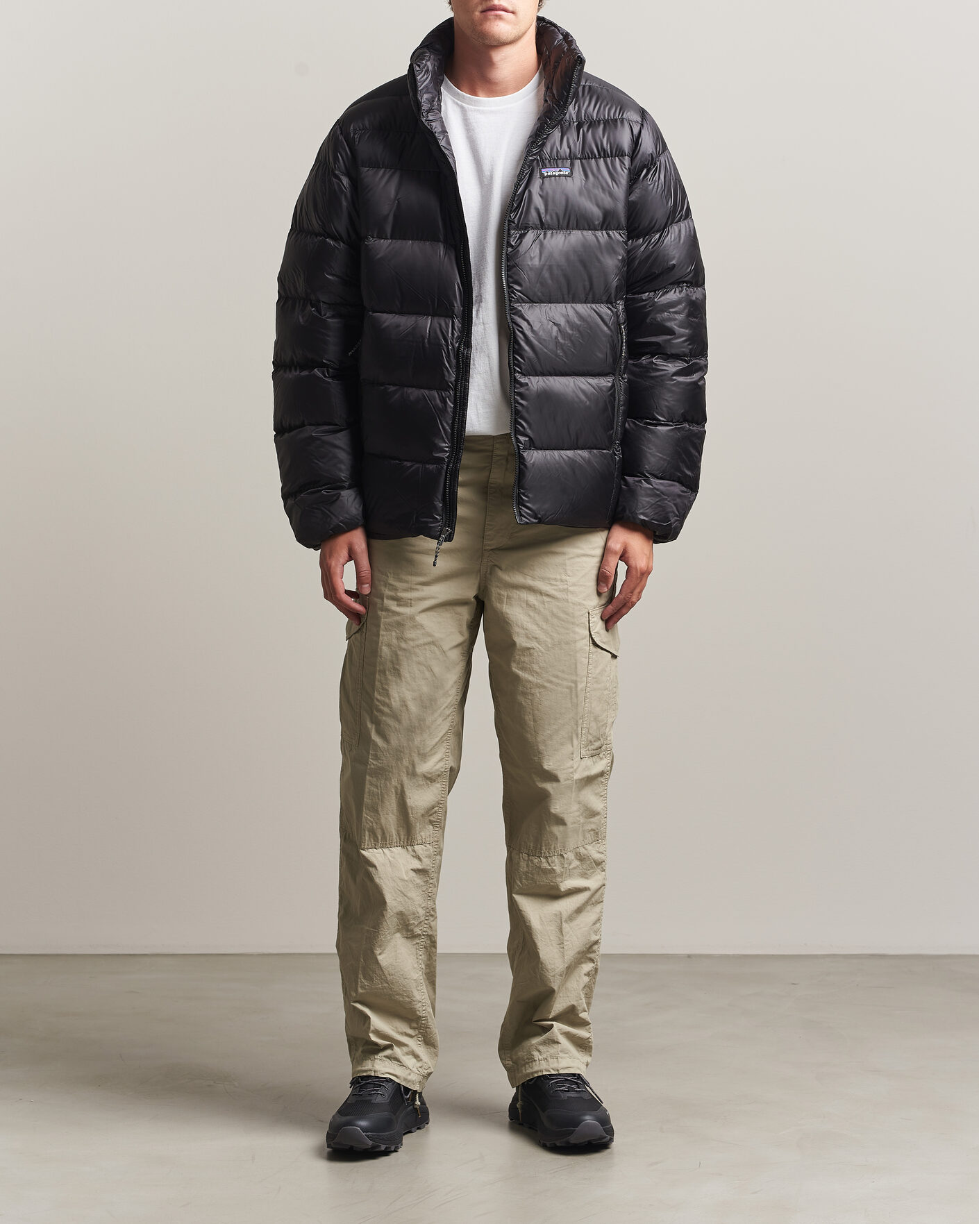 Homme | Manteaux Et Vestes | Patagonia | Fitz Roy Down Jacket Black