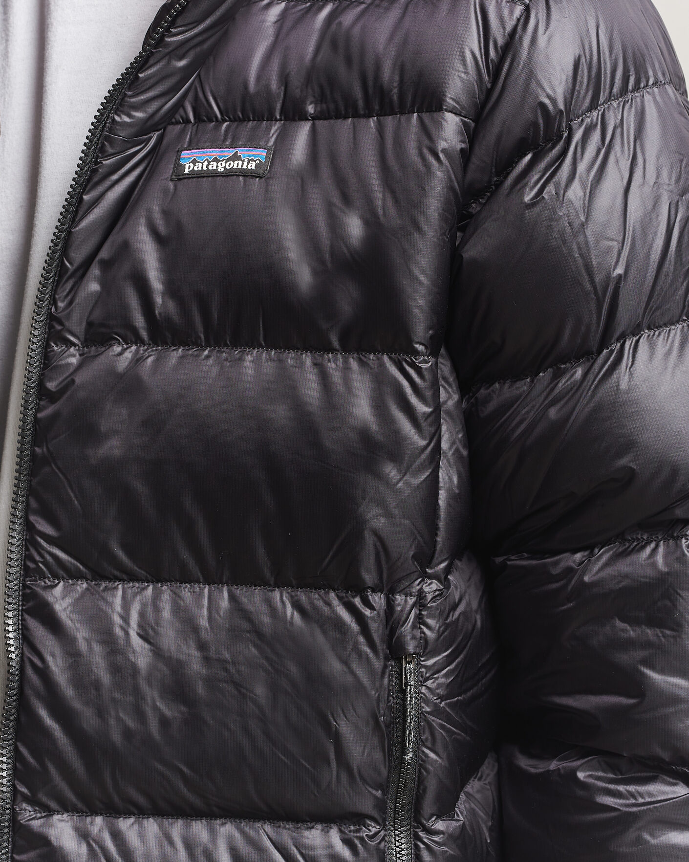 Homme | Manteaux Et Vestes | Patagonia | Fitz Roy Down Jacket Black