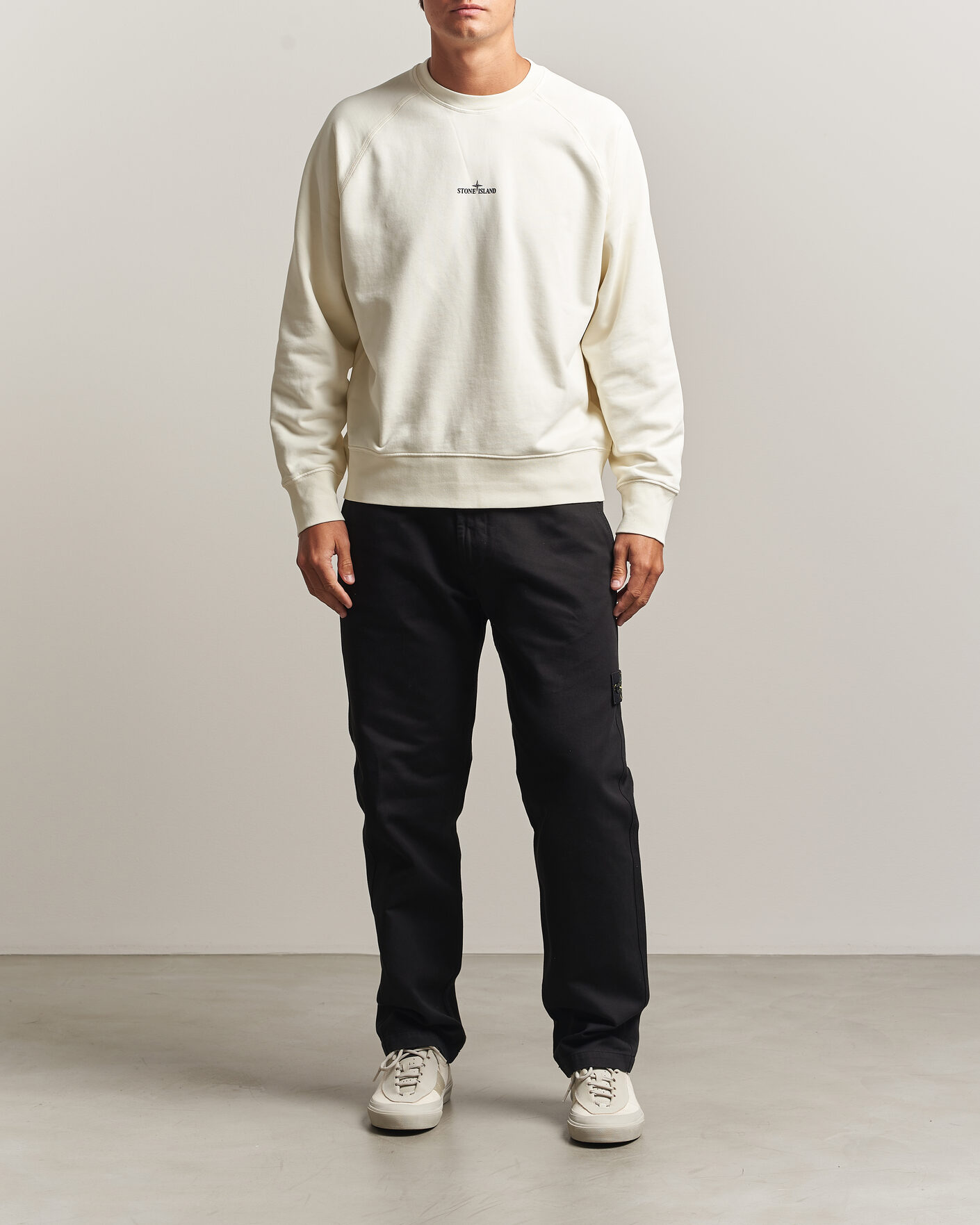 Homme | Pulls Et Tricots | Stone Island | Garment Dyed Fleece Desert Print Sweatshirt Ivory