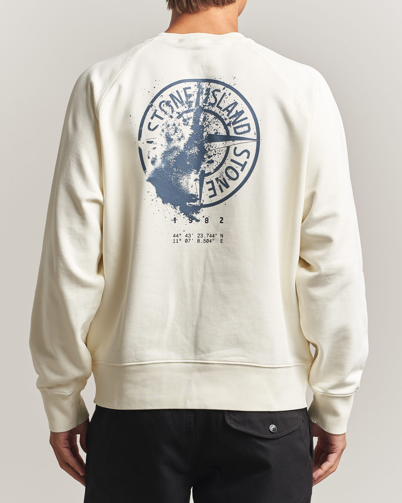 Homme | Pulls Et Tricots | Stone Island | Garment Dyed Fleece Desert Print Sweatshirt Ivory