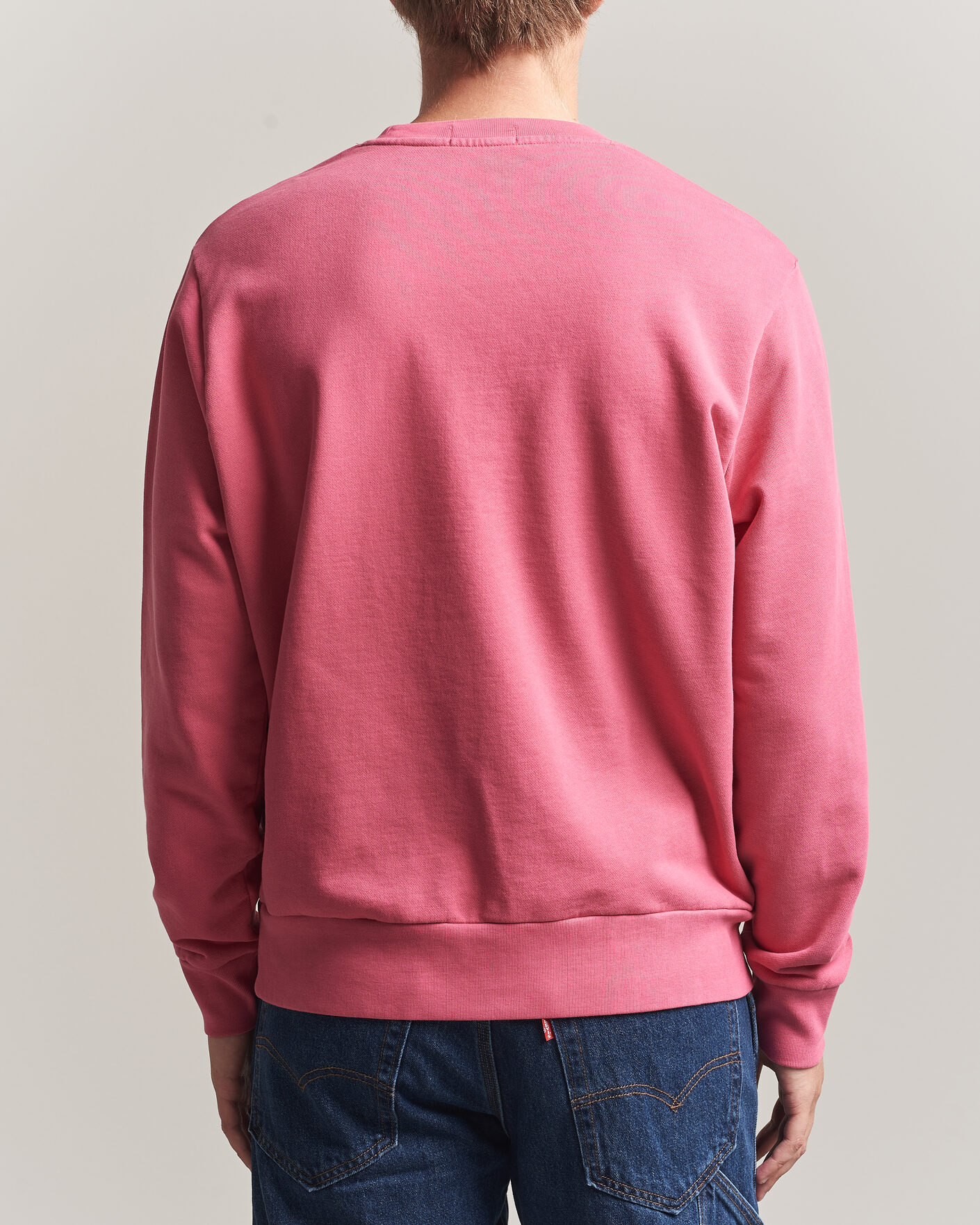 Homme | Pulls Et Tricots | Polo Ralph Lauren | Loopback Terry Sweatshirt Terrance Pink